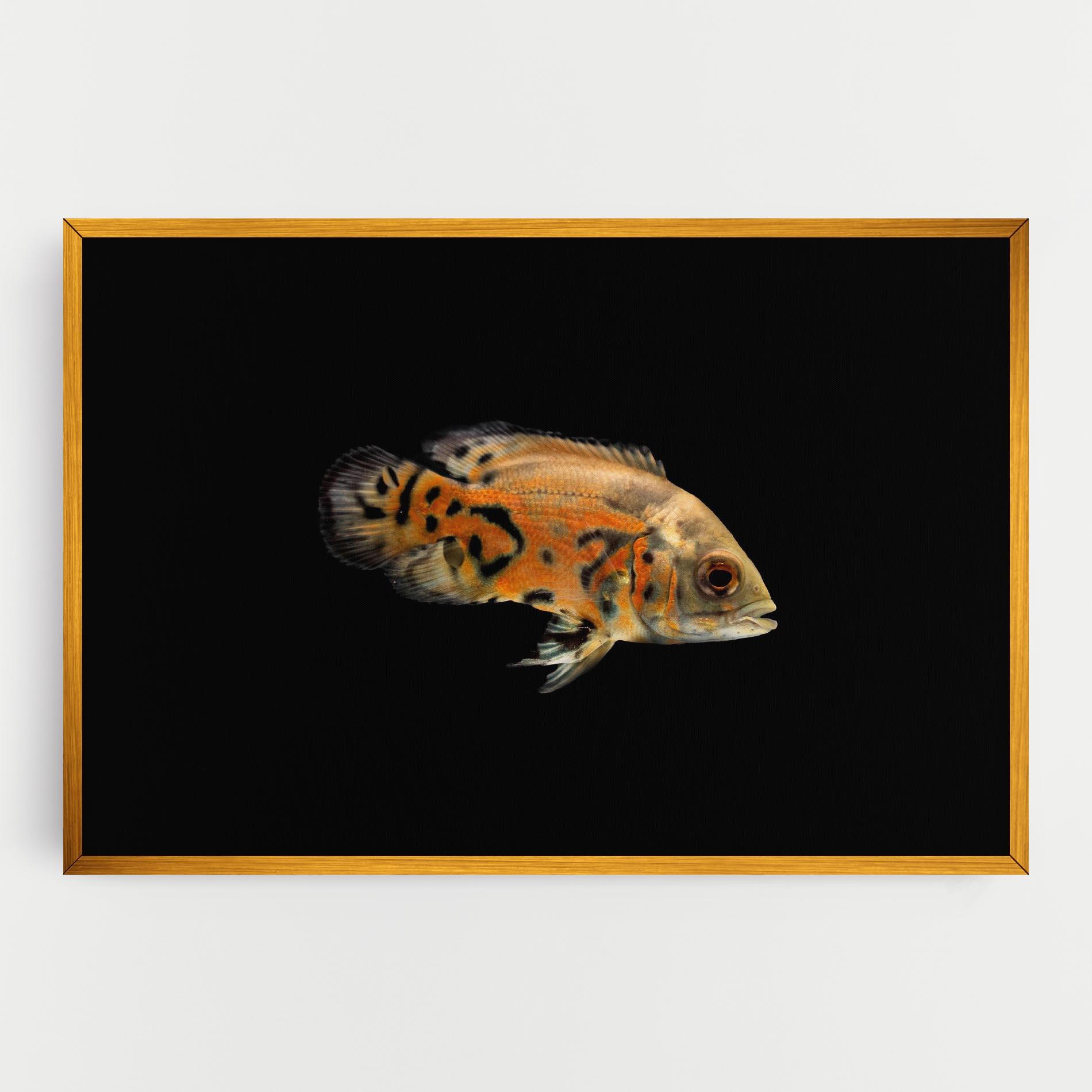 Leinwandbild Cute Brown Fish mockup 0