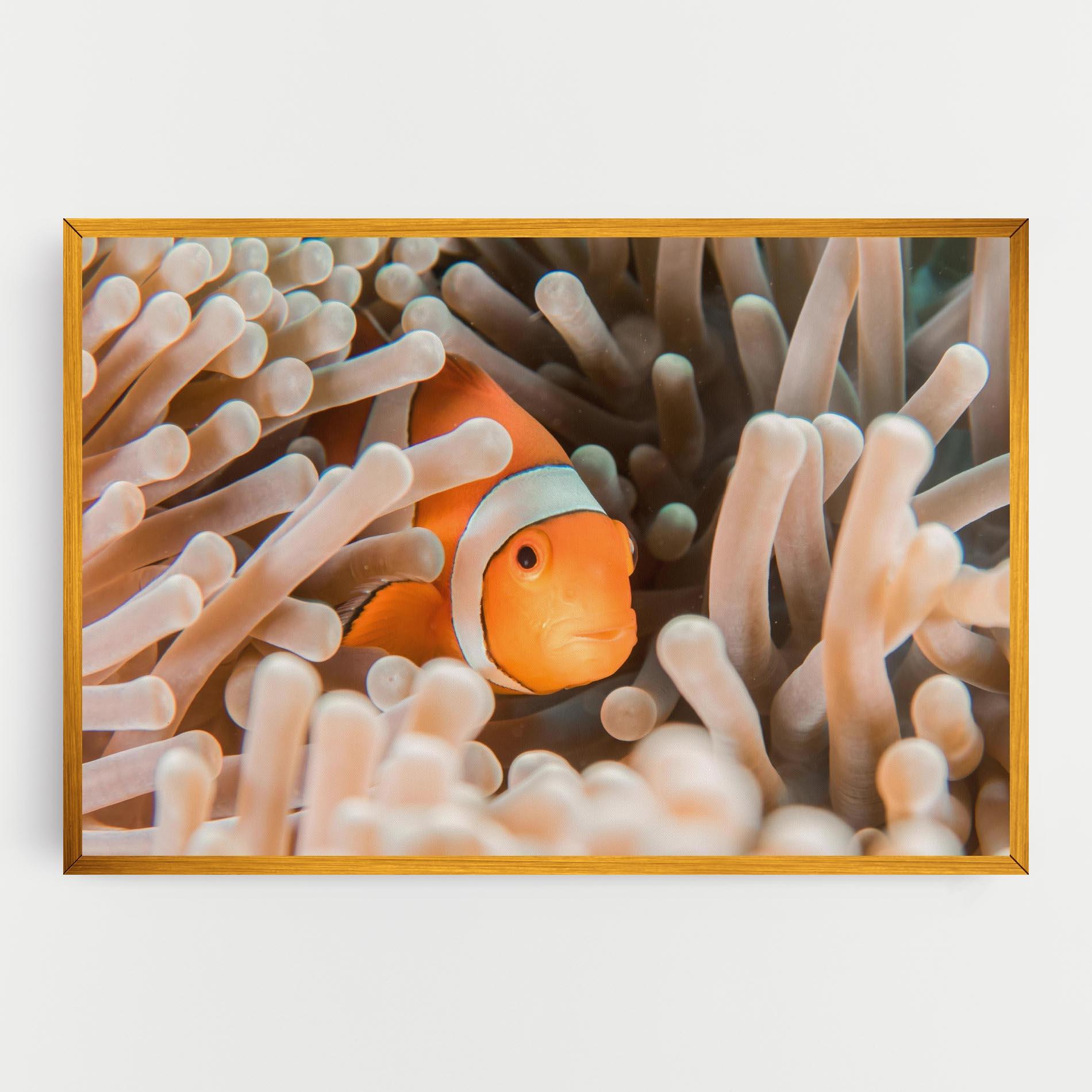 Leinwandbild Cute Nemo mockup 0