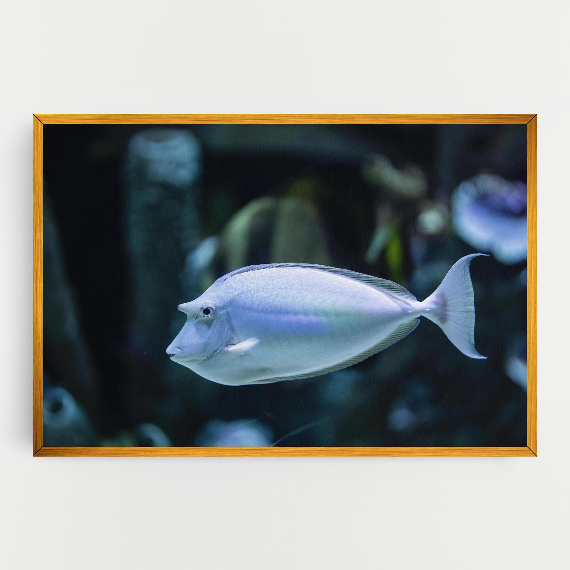 Leinwandbild Funny Face Fish mockup 0