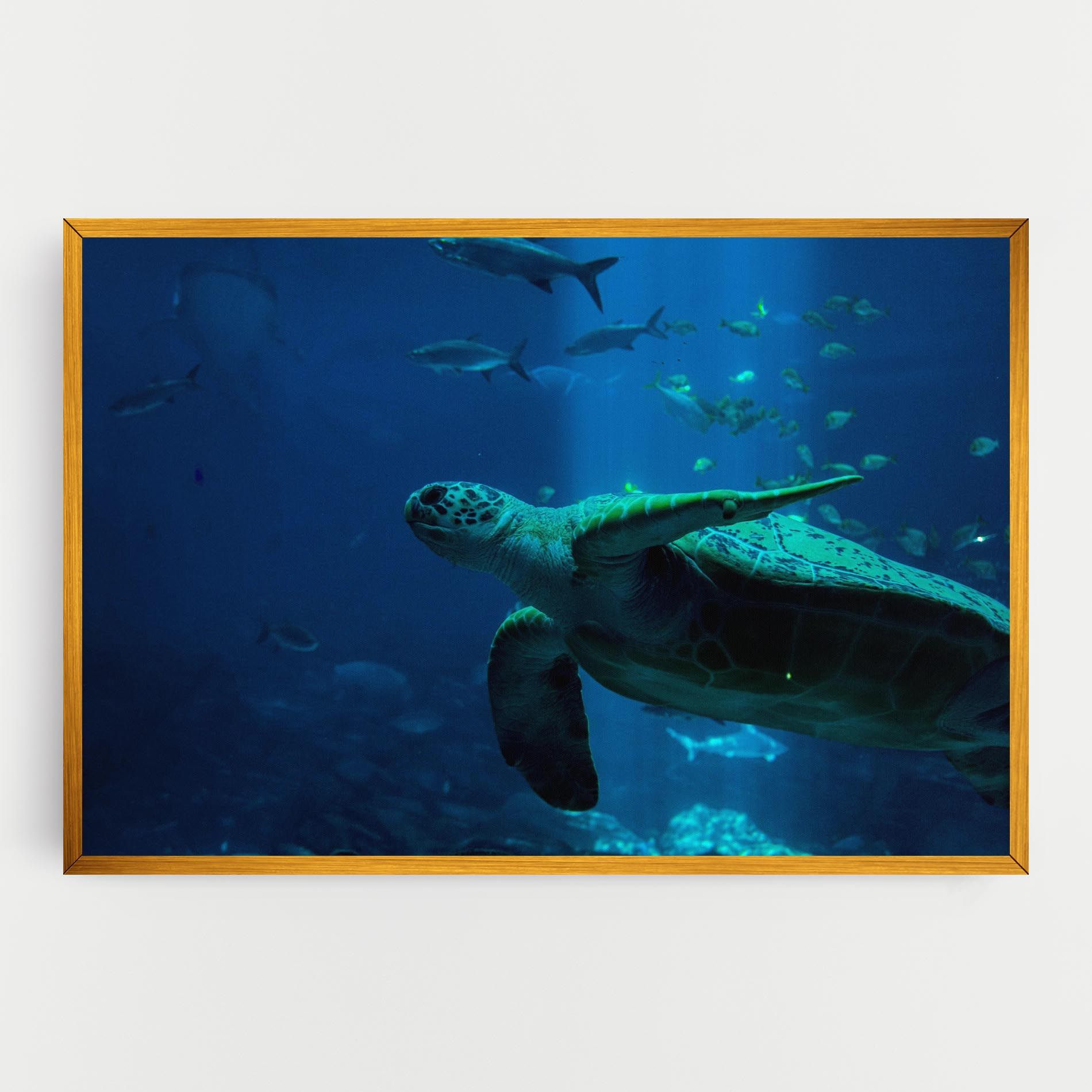 Green Turtule mockup 0