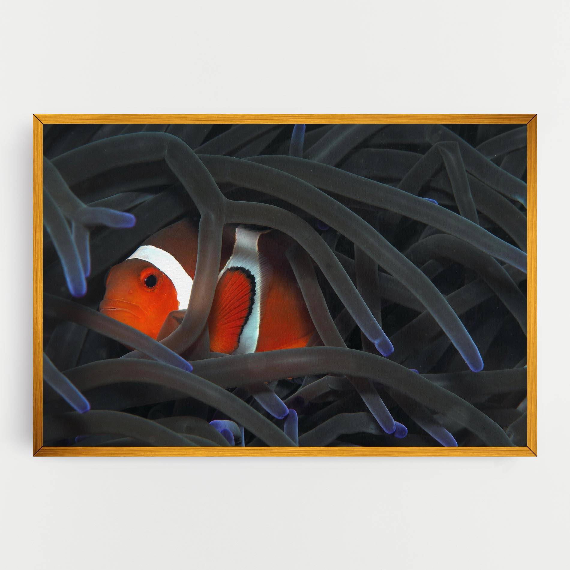 Leinwandbild Nemo Hiding mockup 0