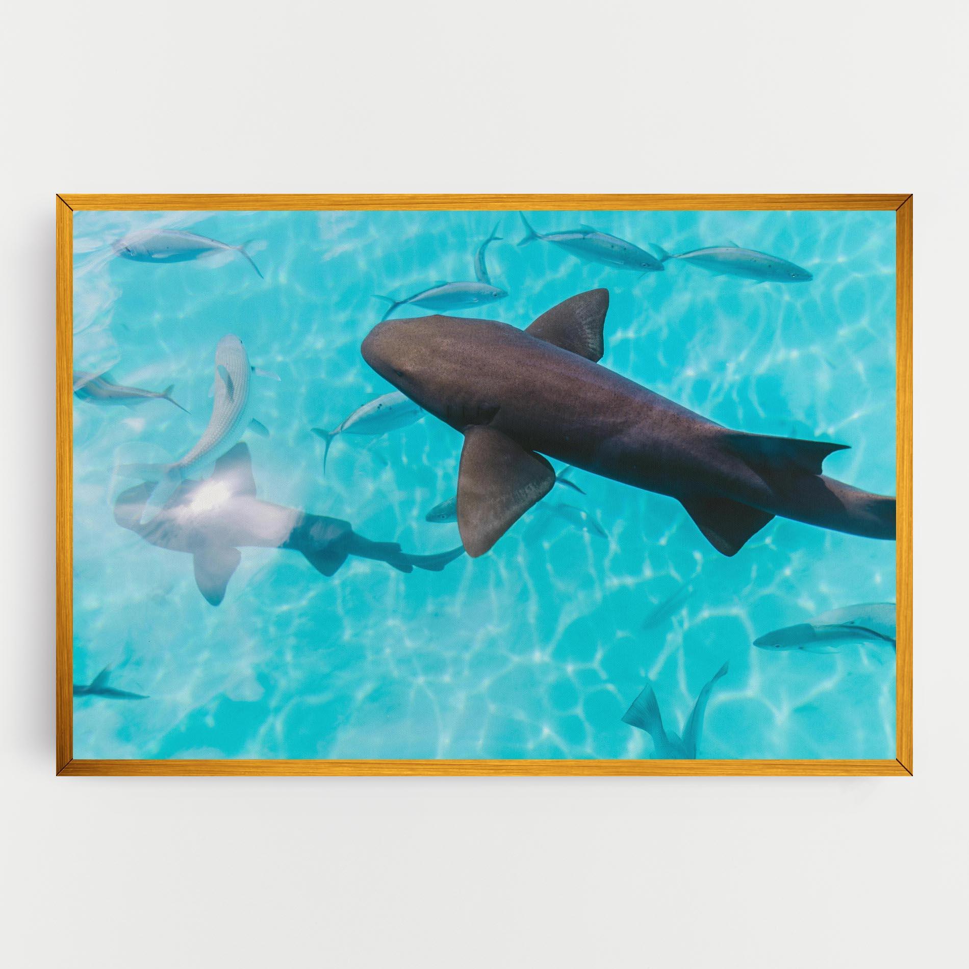 Leinwandbild Pretty Shark mockup 0