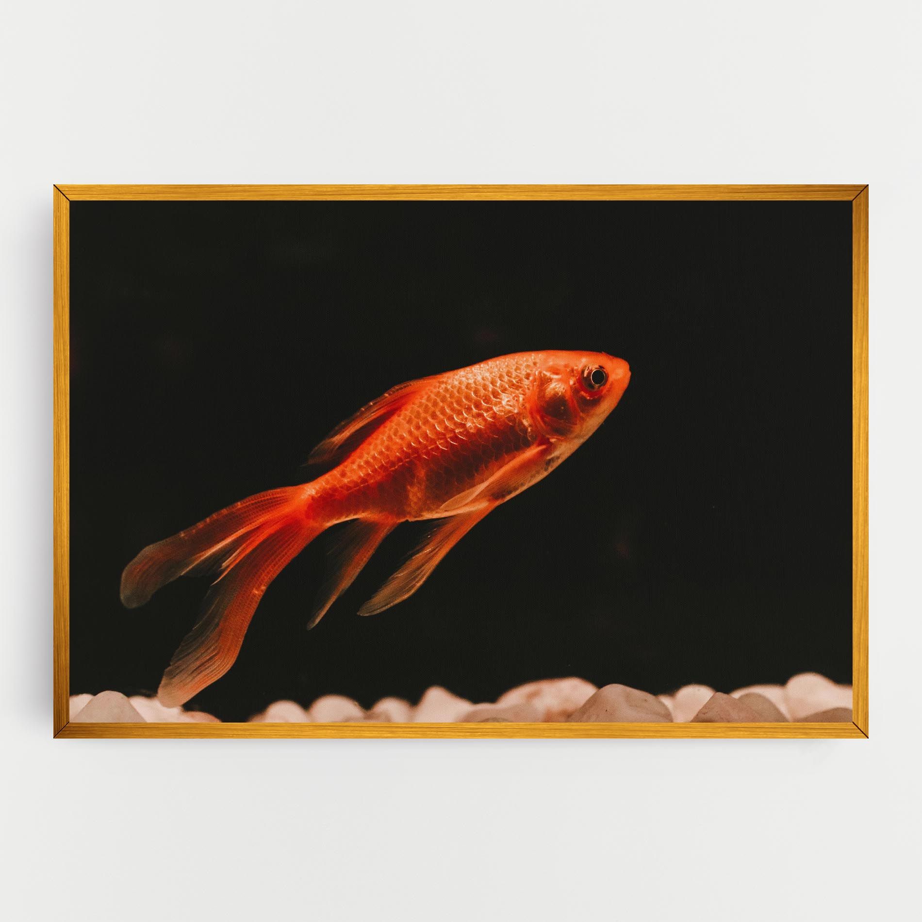 Small Orange Fish mockup 0