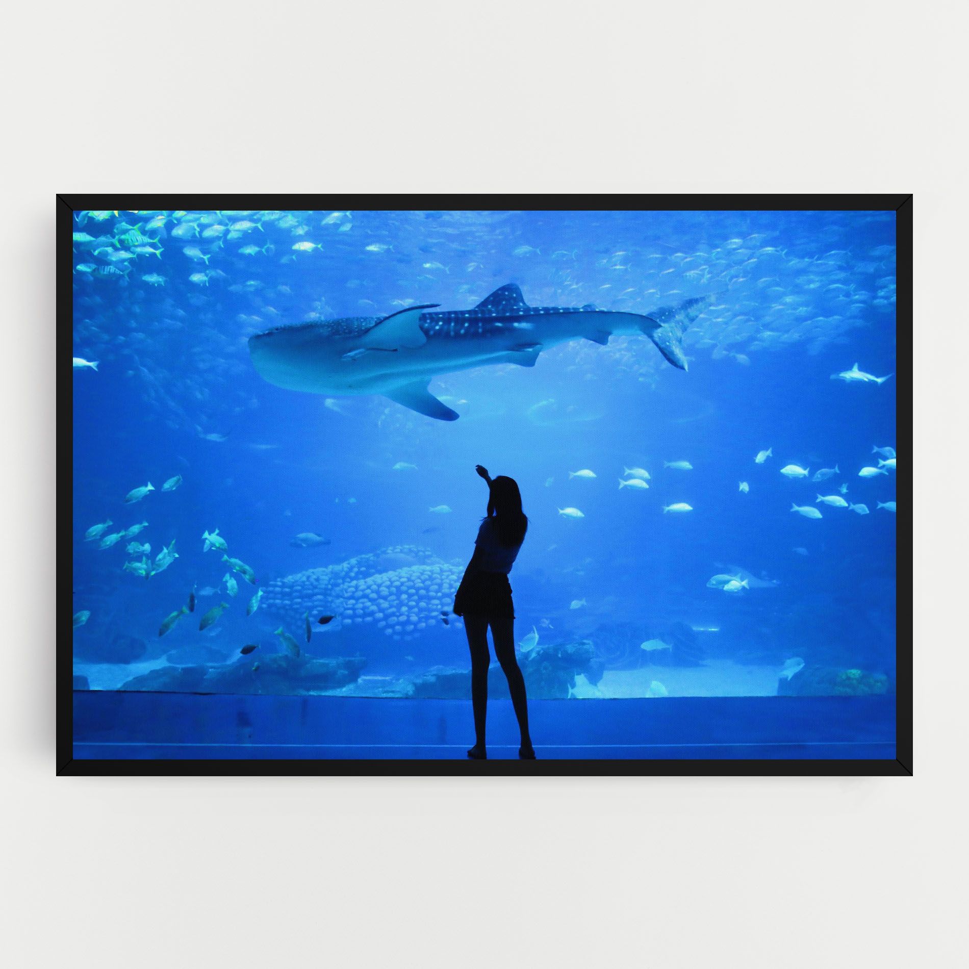Aquarium Girl mockup 0