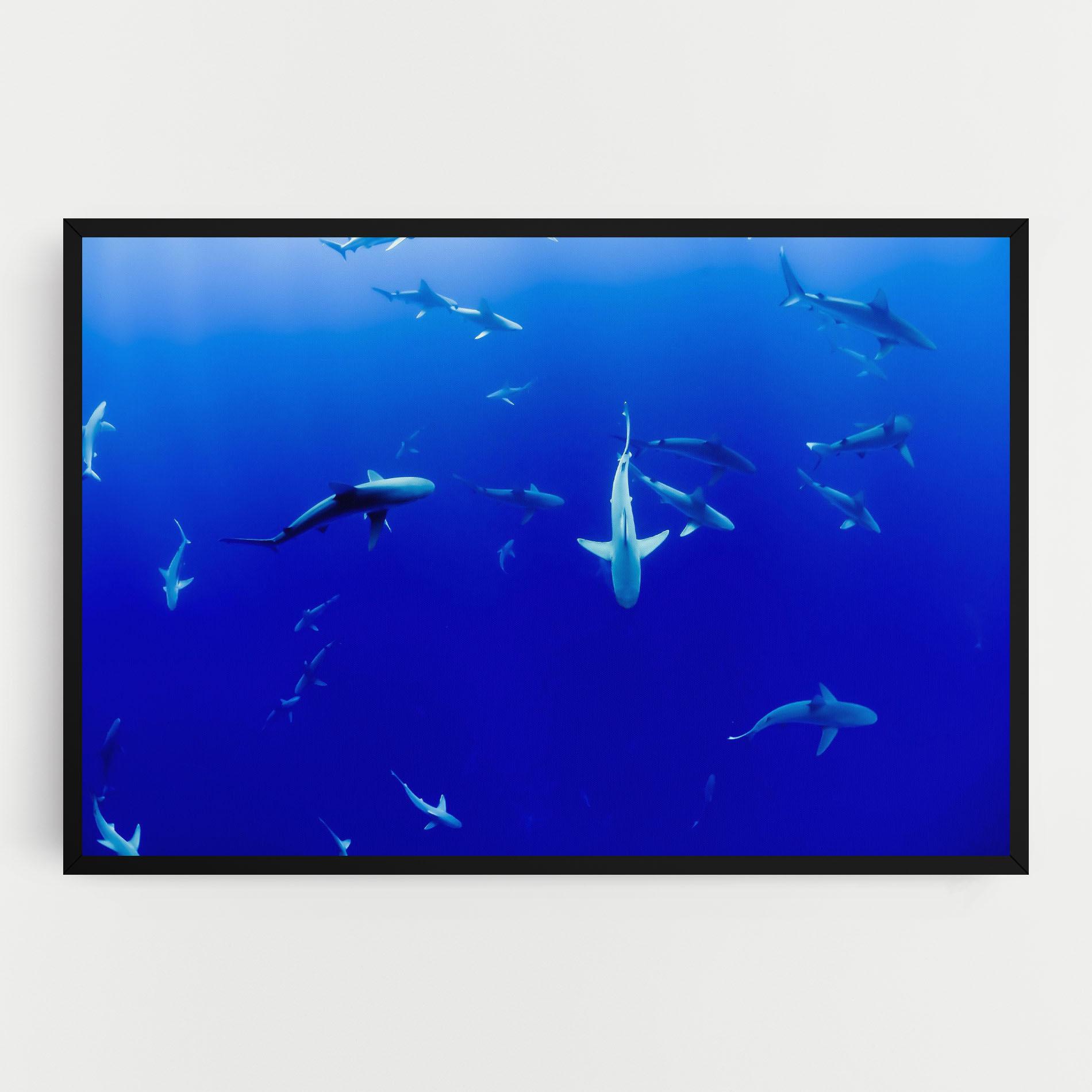 Leinwandbild Baby Sharks mockup 0