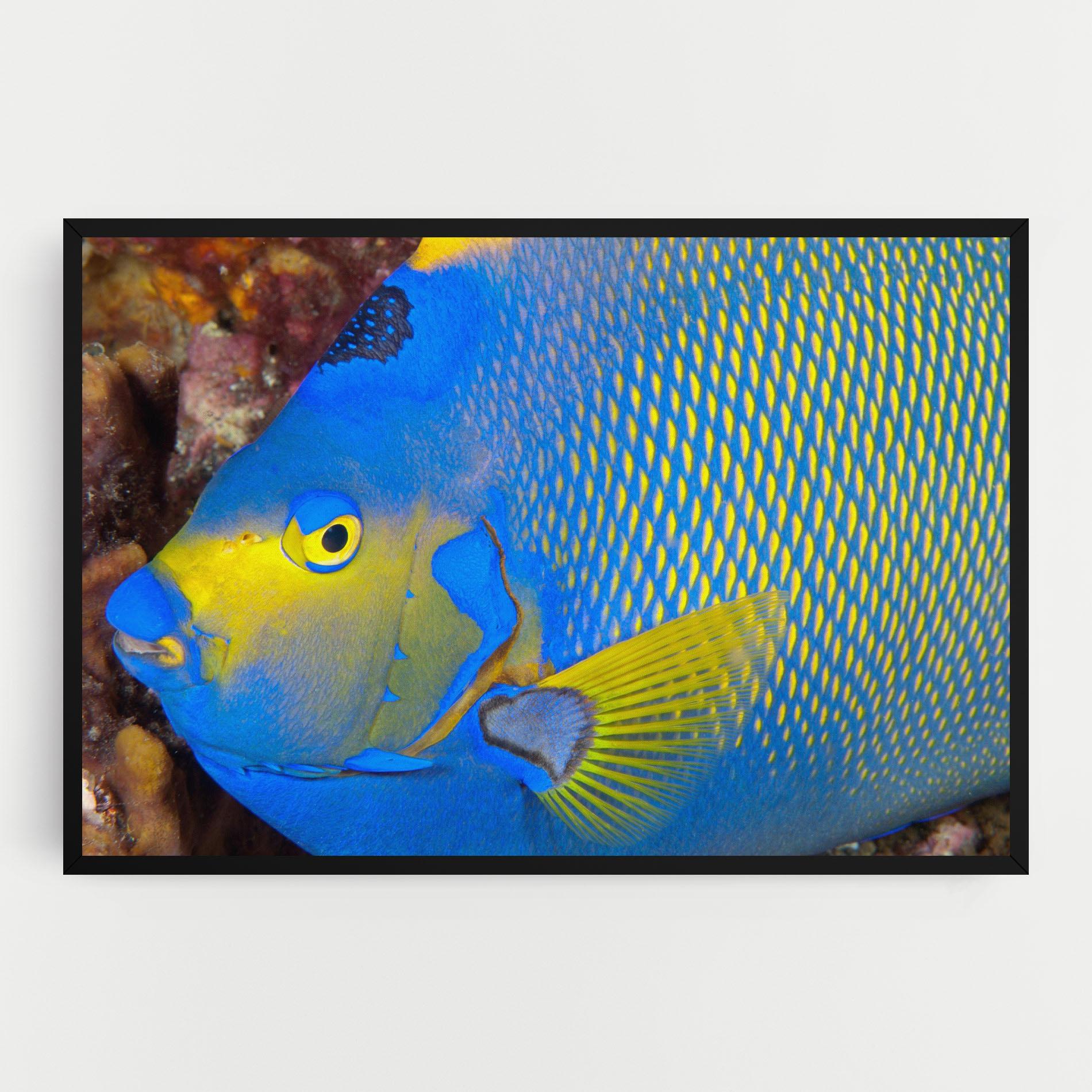 Leinwandbild Blue Yellow Fish mockup 0