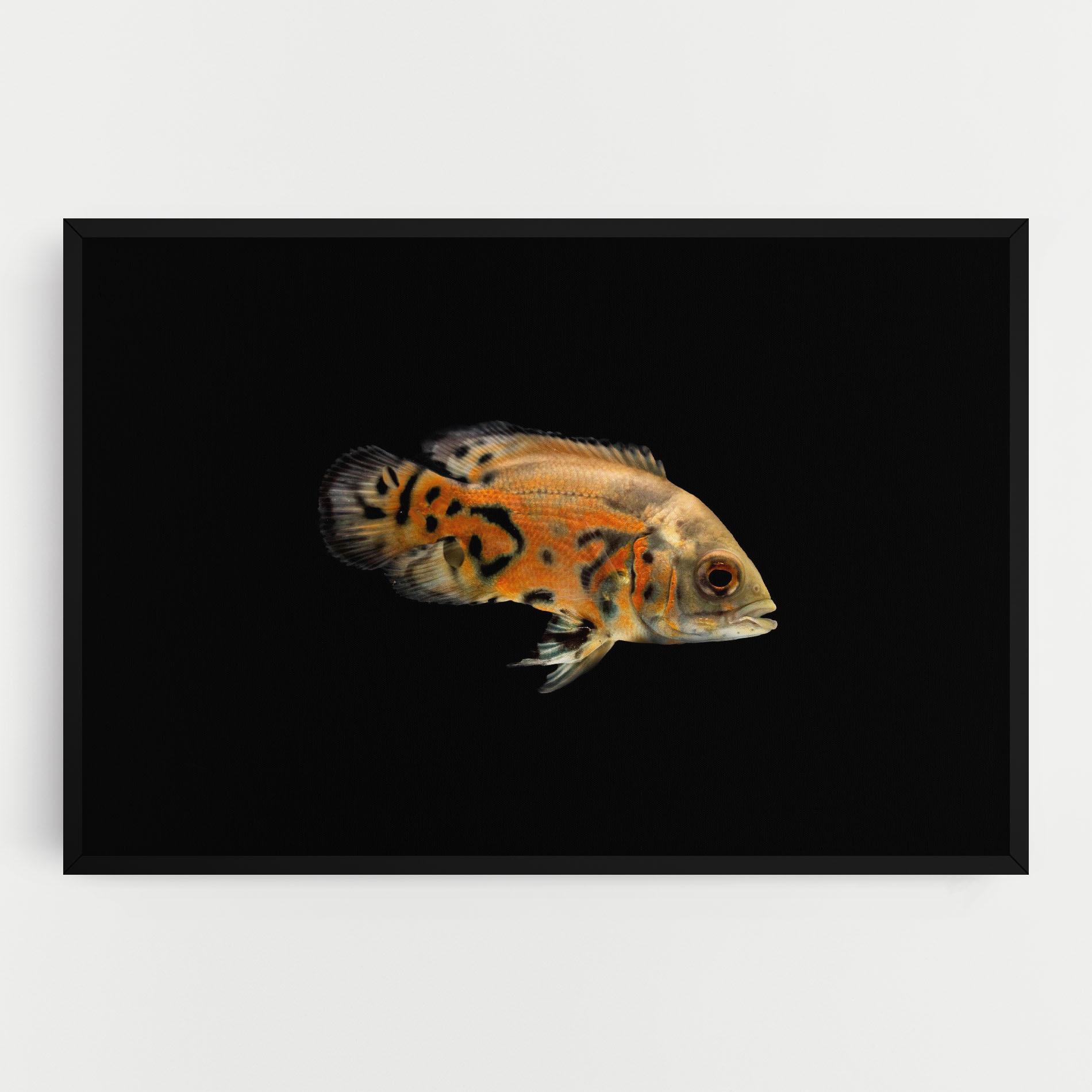 Leinwandbild Cute Brown Fish mockup 0