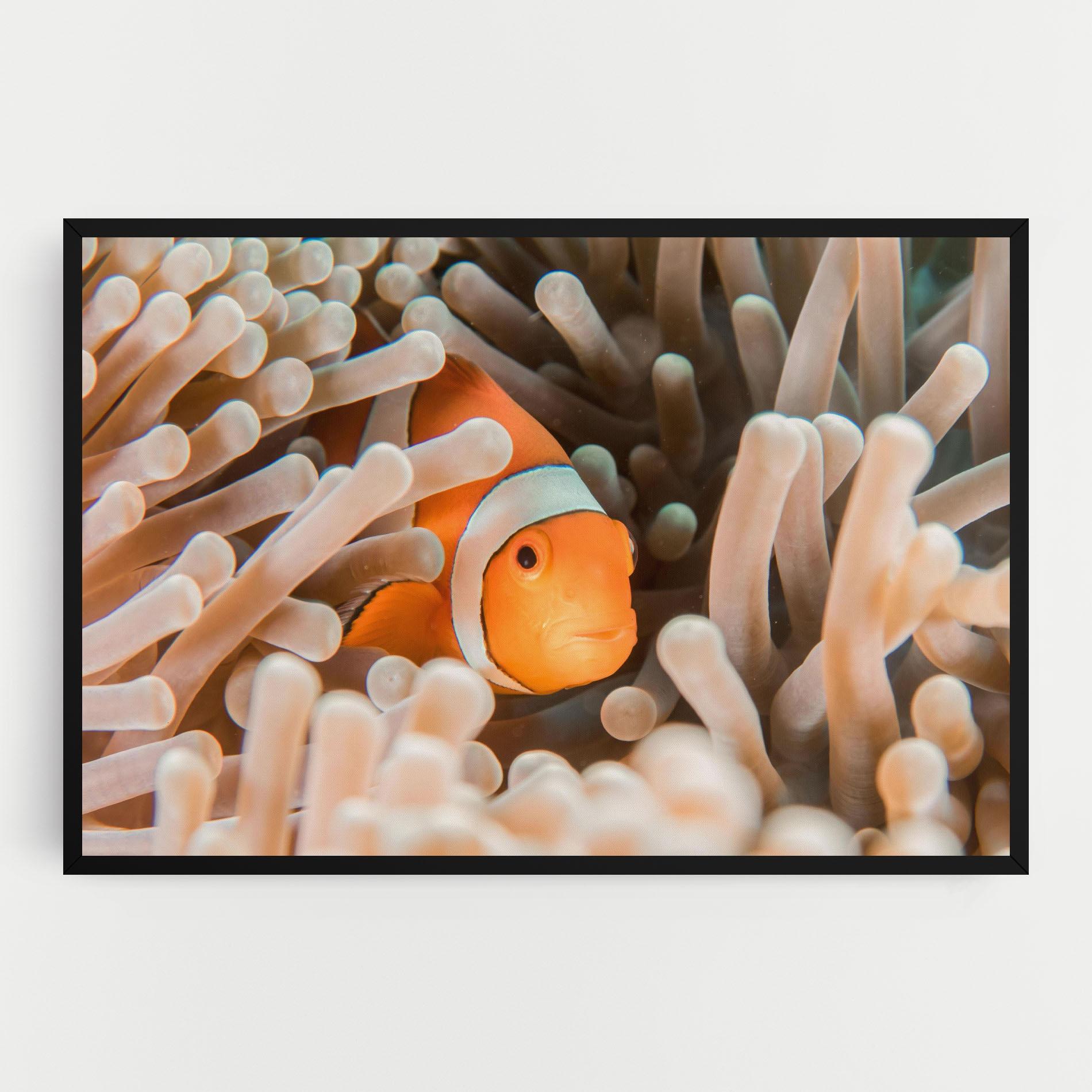 Leinwandbild Cute Nemo mockup 0