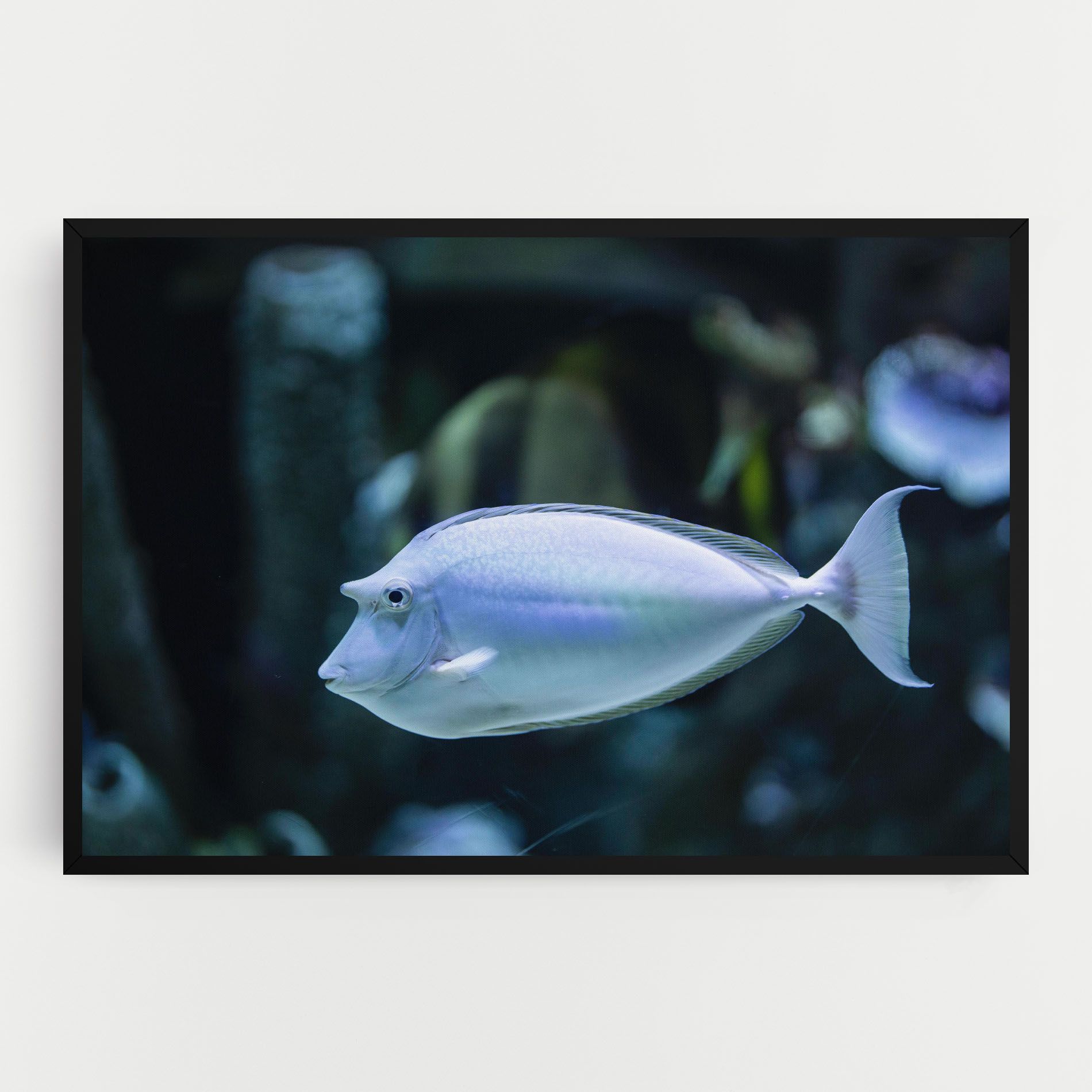 Funny Face Fish mockup 0