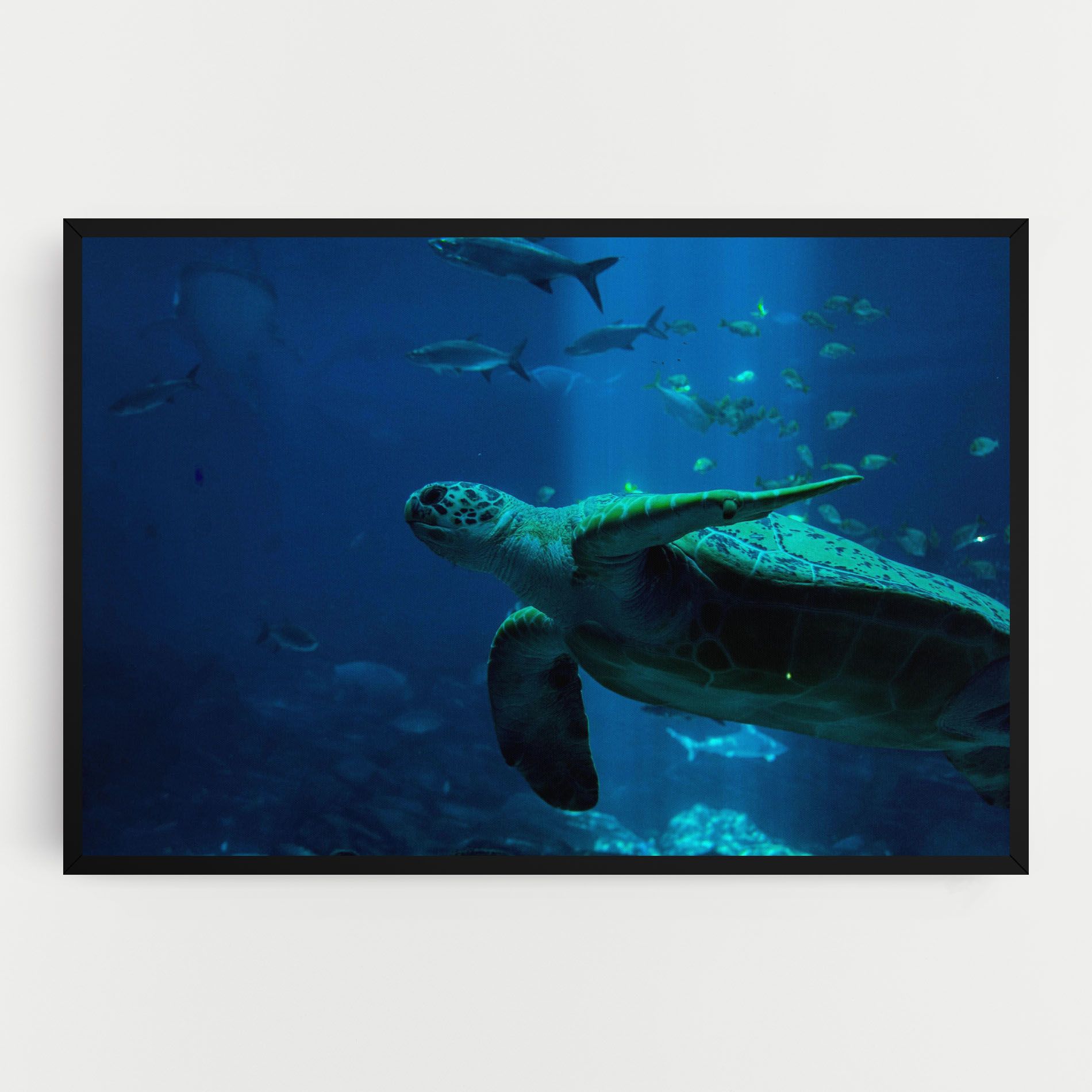 Green Turtule mockup 0