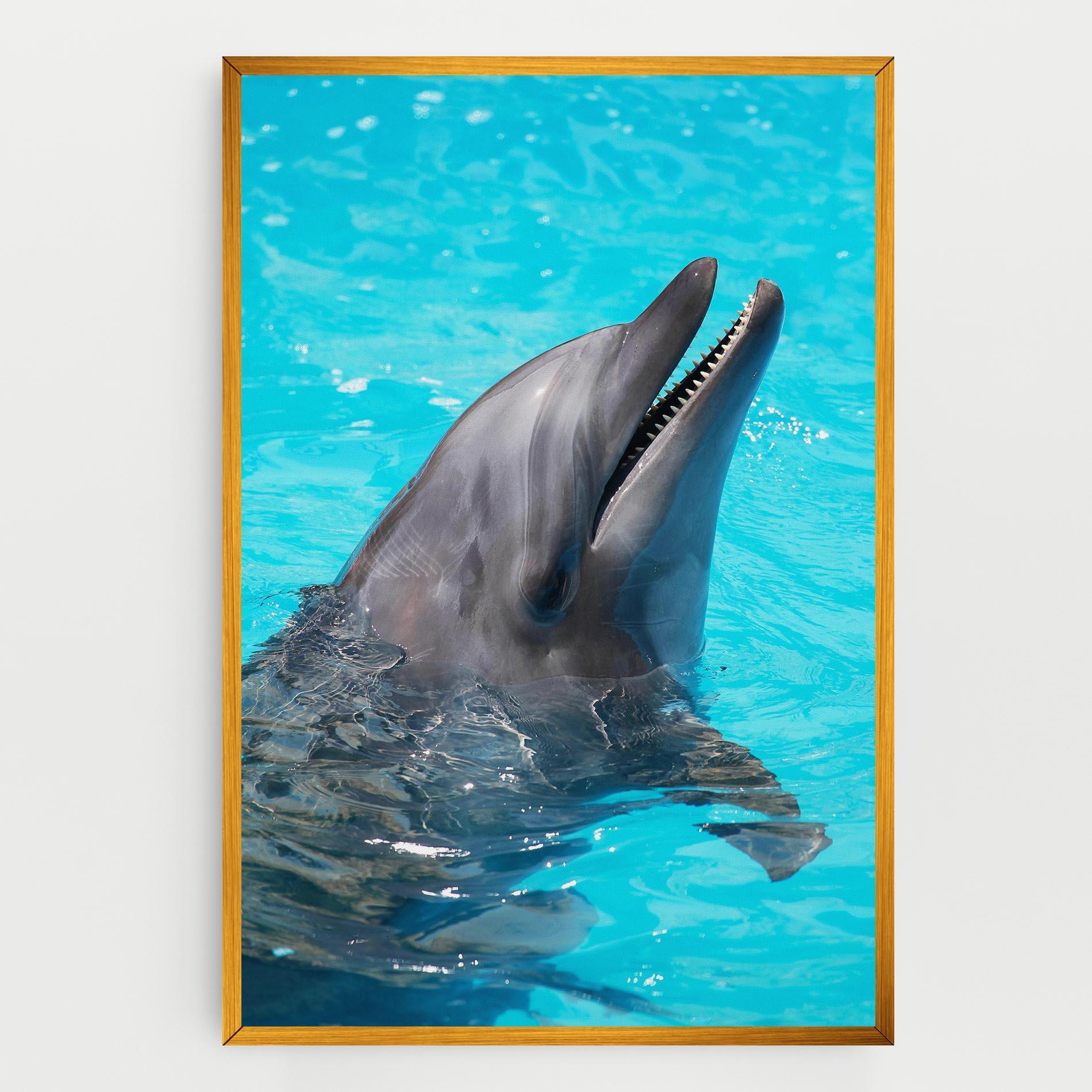Leinwandbild Trained Dolphin mockup 0