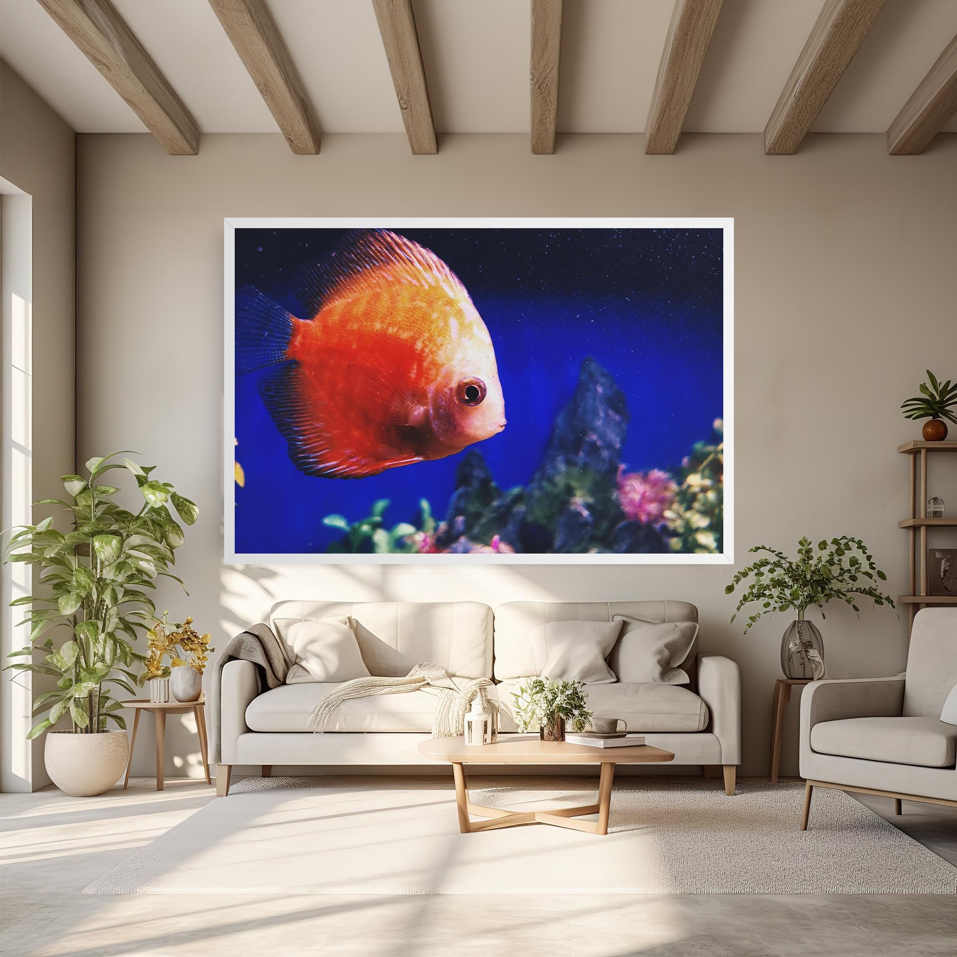 Pretty Orange Fish mockup 6
