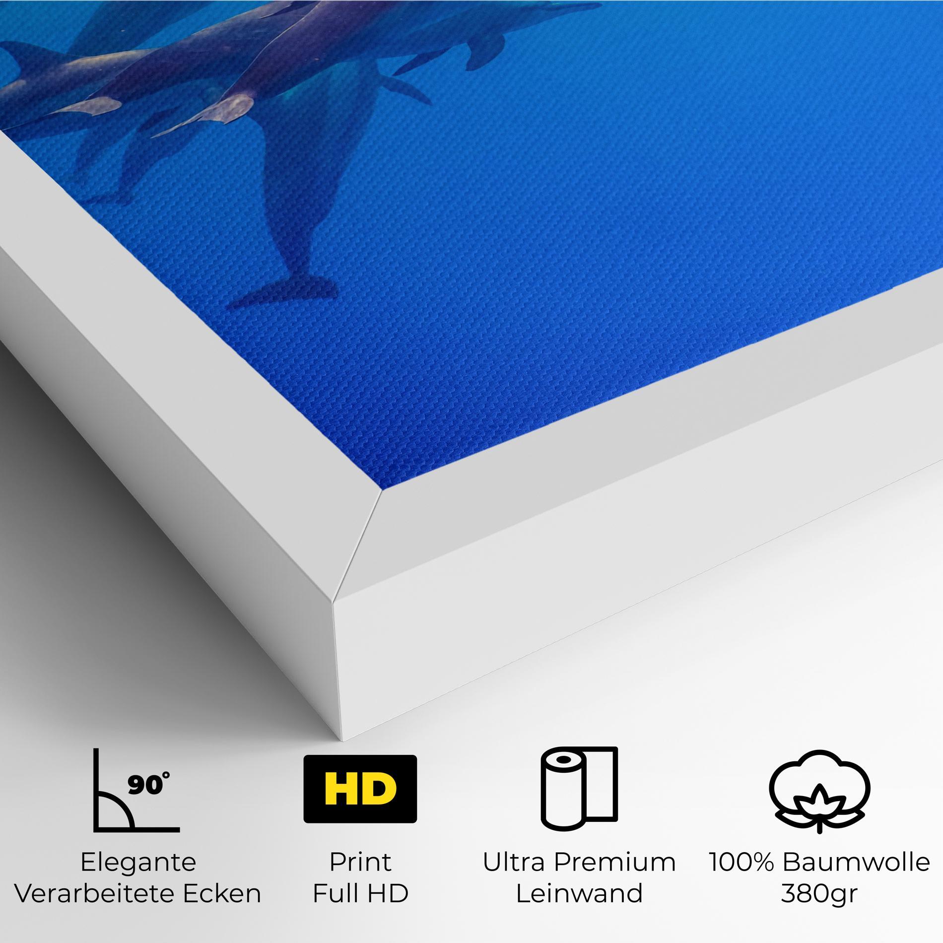 Leinwandbild Dolphin Family mockup 4