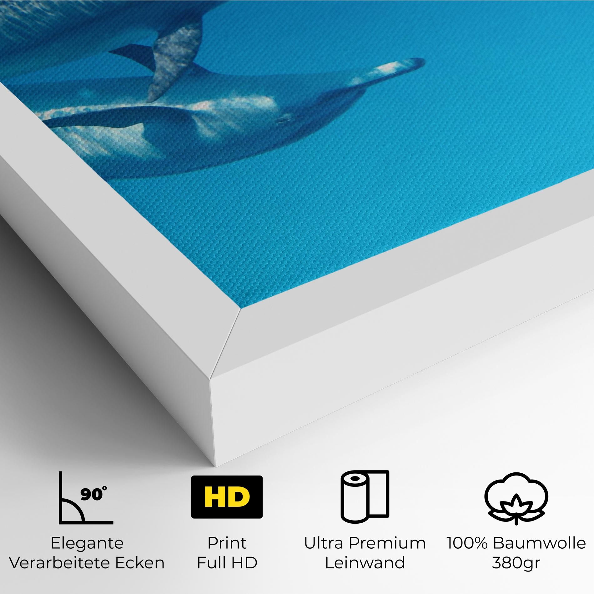 Family Of Dolphins mockup 4