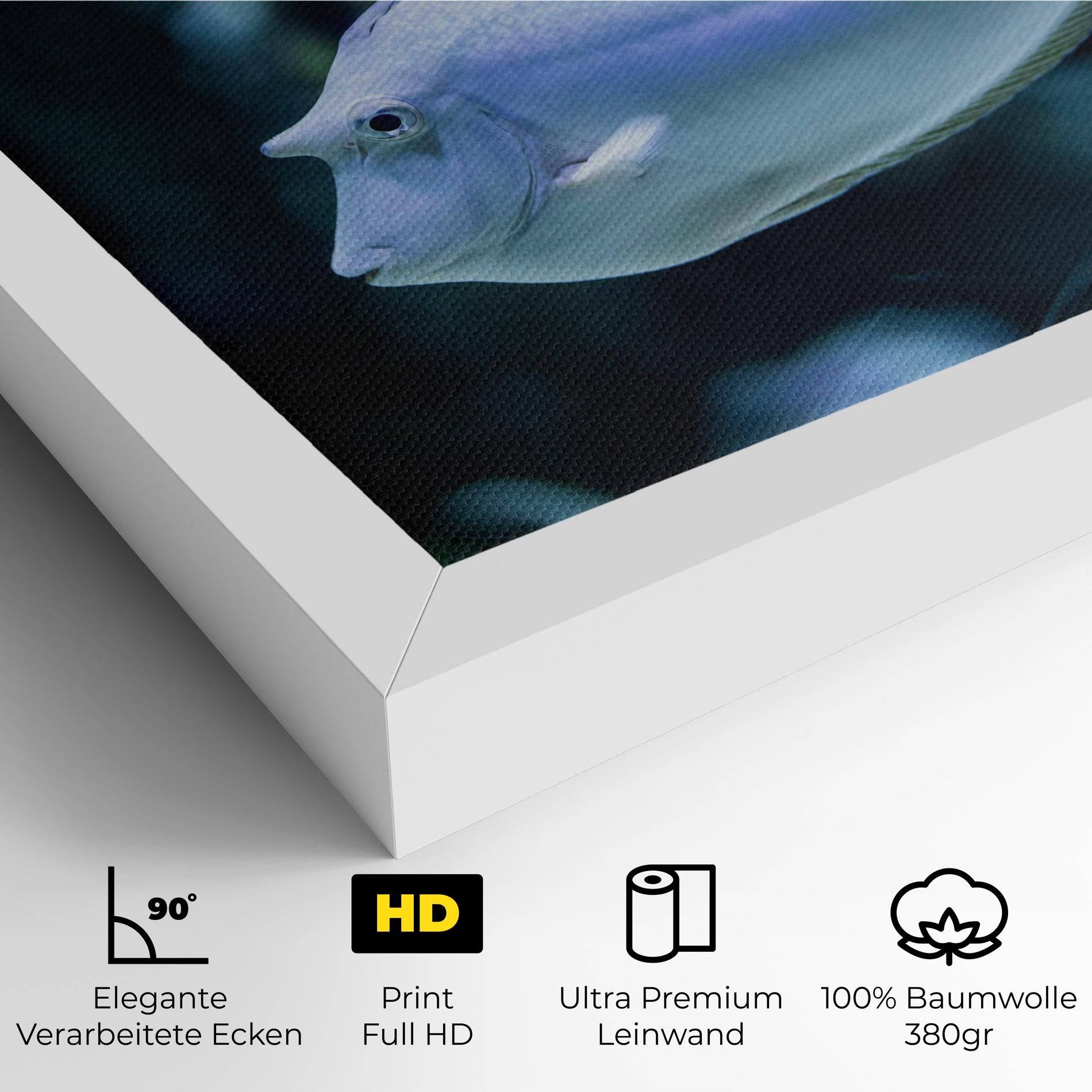 Funny Face Fish mockup 4