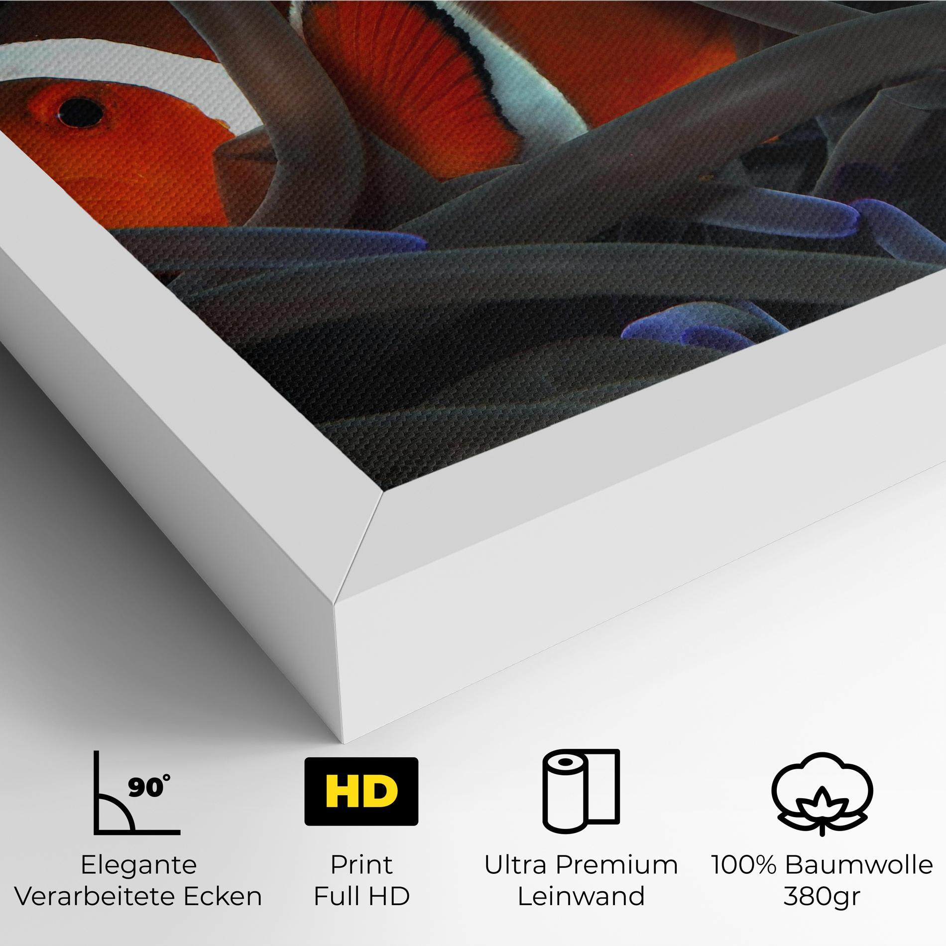 Leinwandbild Nemo Hiding mockup 4