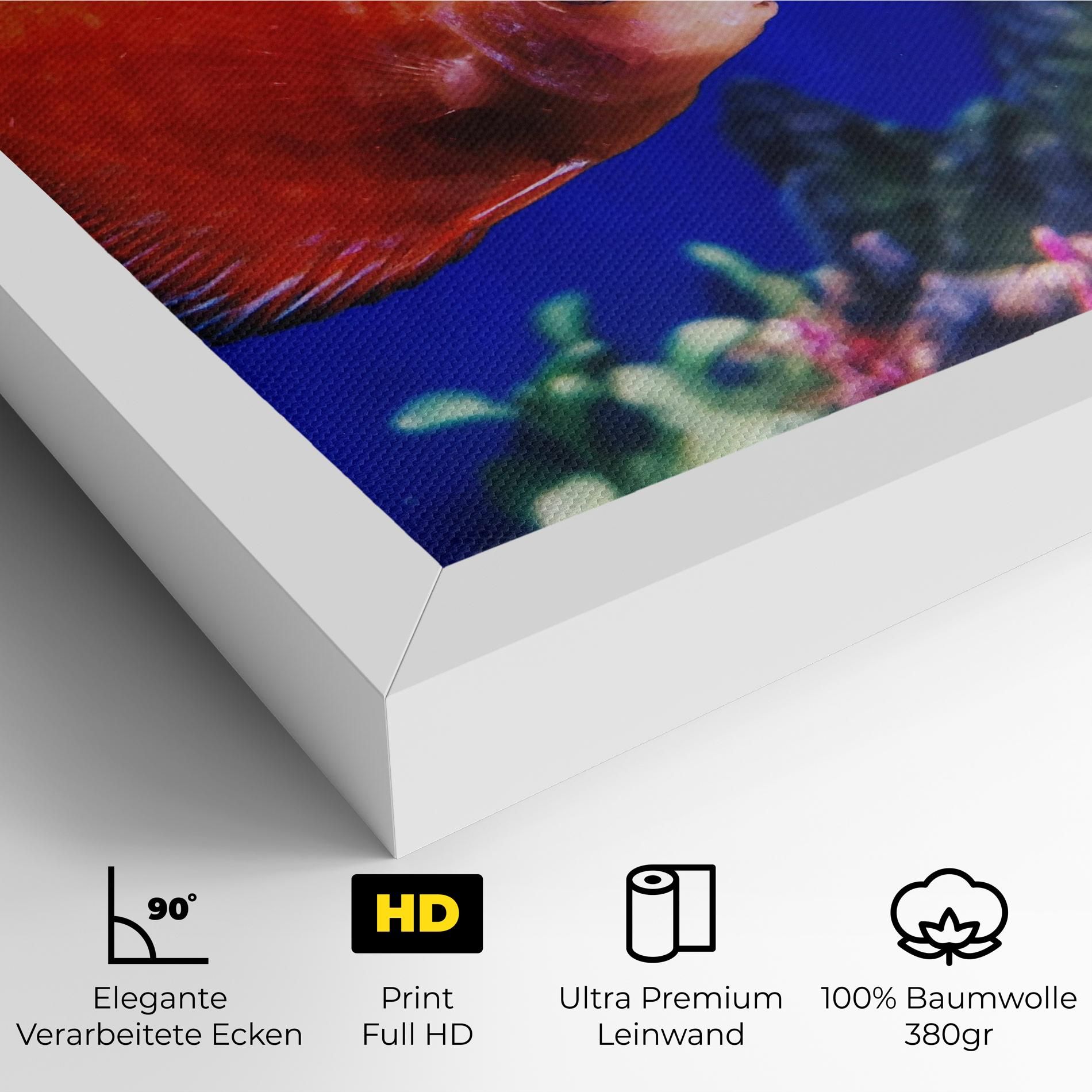 Pretty Orange Fish mockup 4