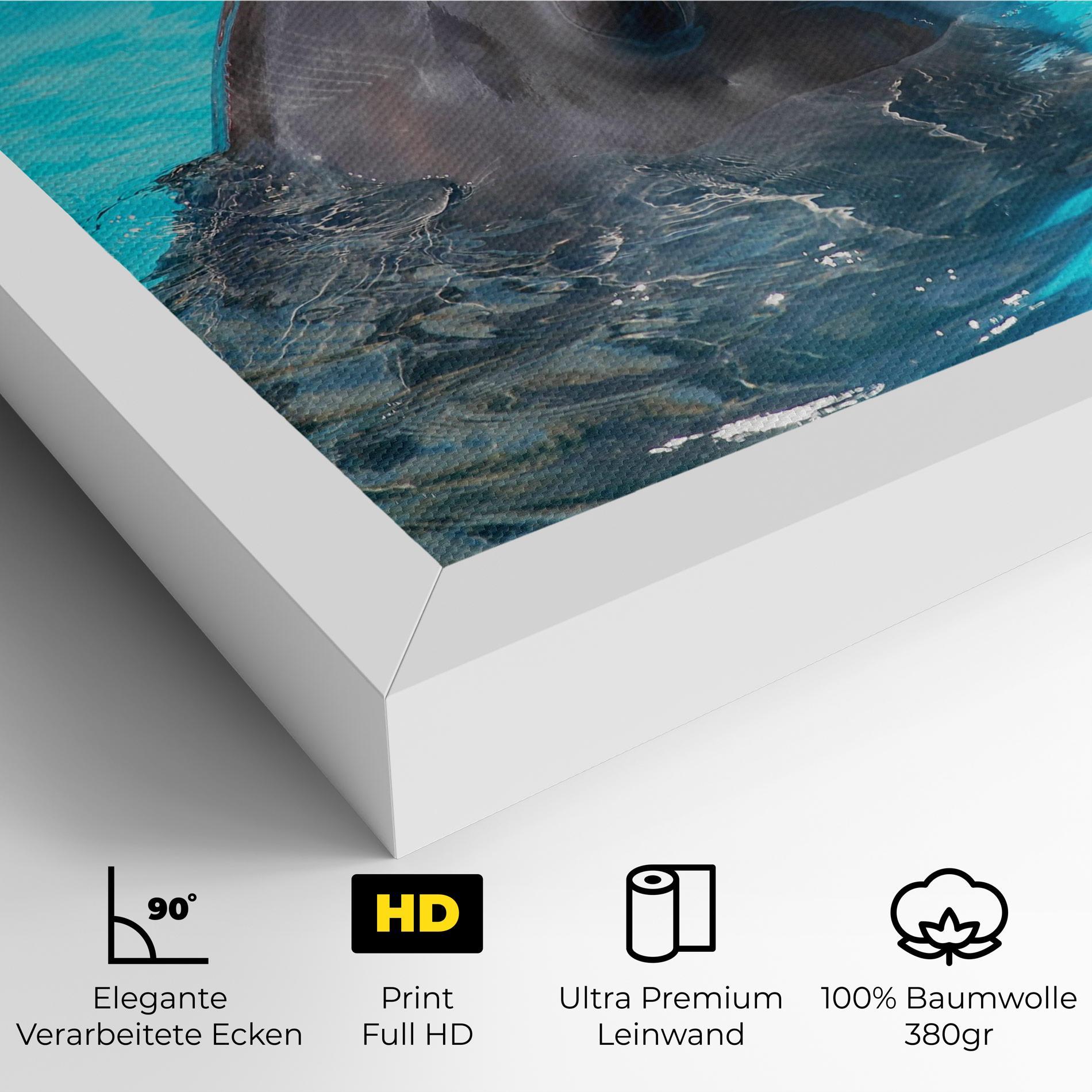 Leinwandbild Trained Dolphin mockup 4