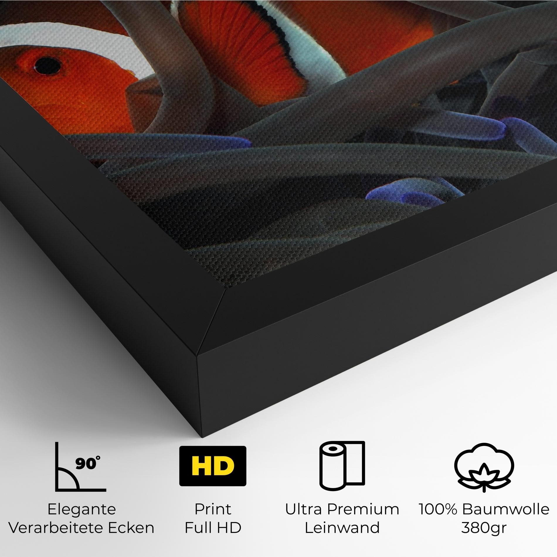 Nemo Hiding mockup 4