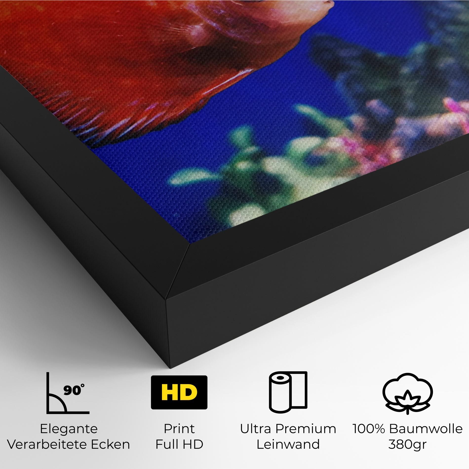 Pretty Orange Fish mockup 4