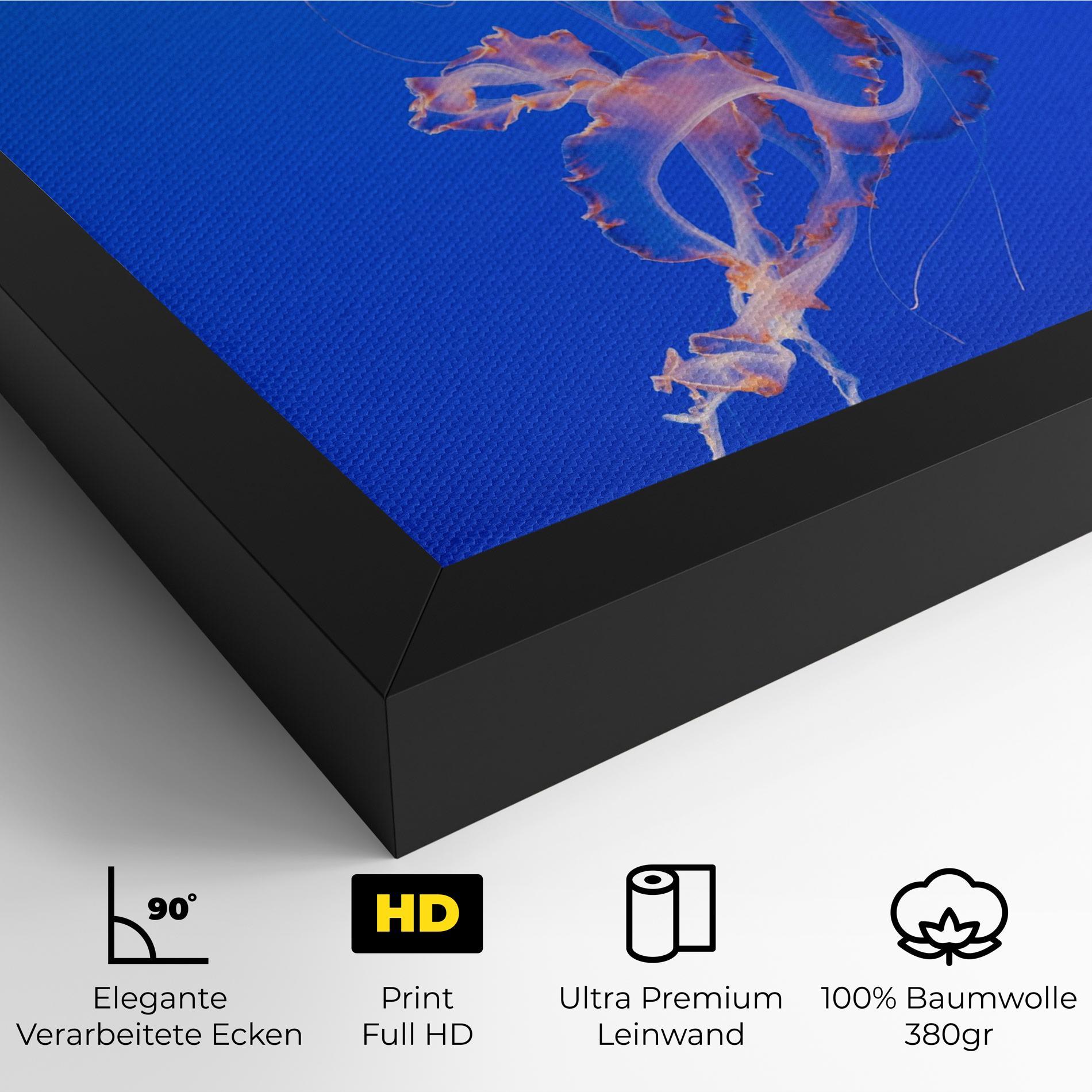 Leinwandbild Pretty White Jellyfish mockup 4