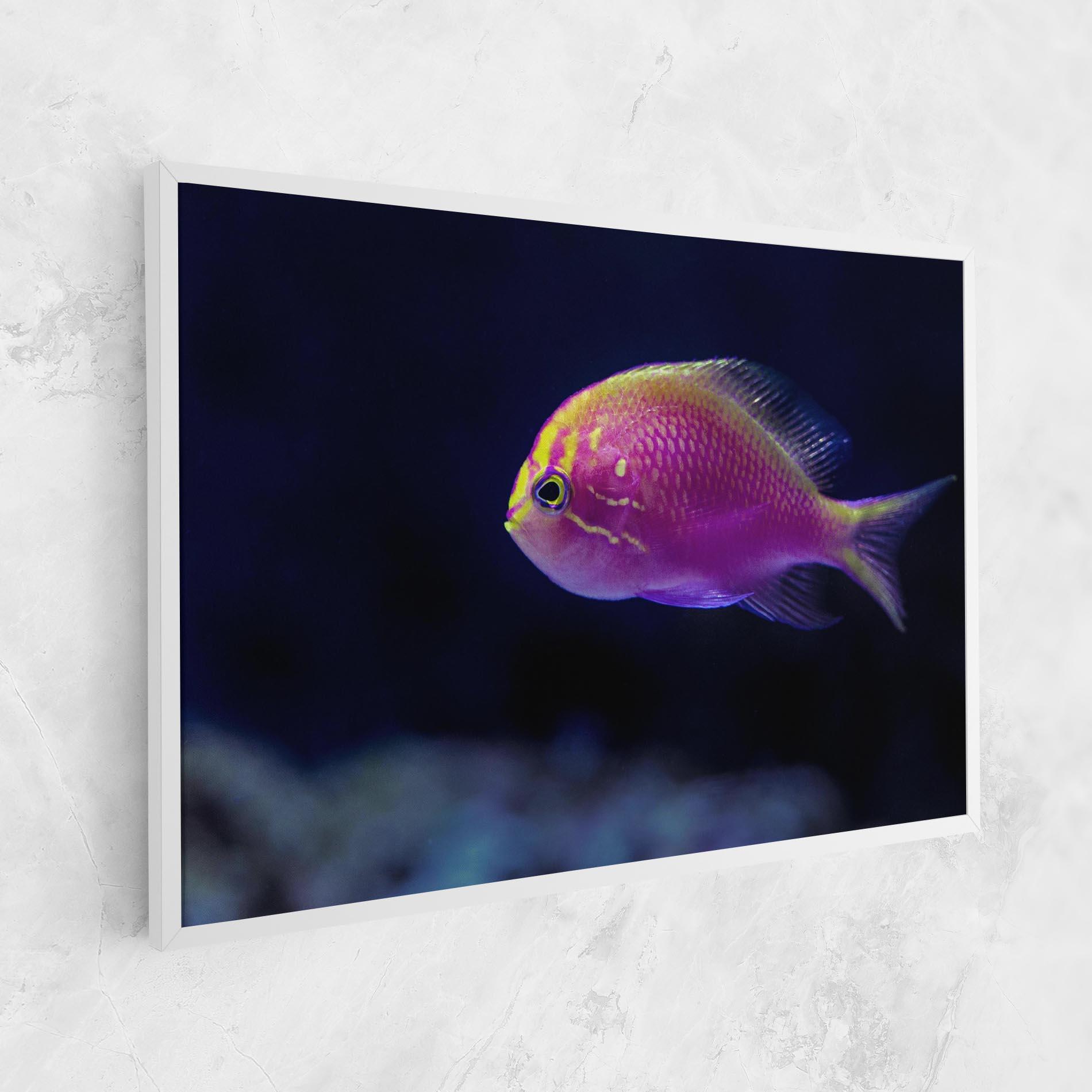 Leinwandbild Angry Pink Fish mockup 1