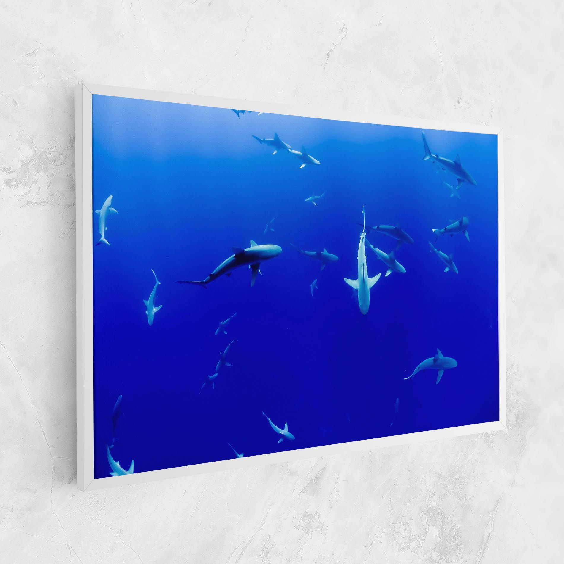 Baby Sharks mockup 1