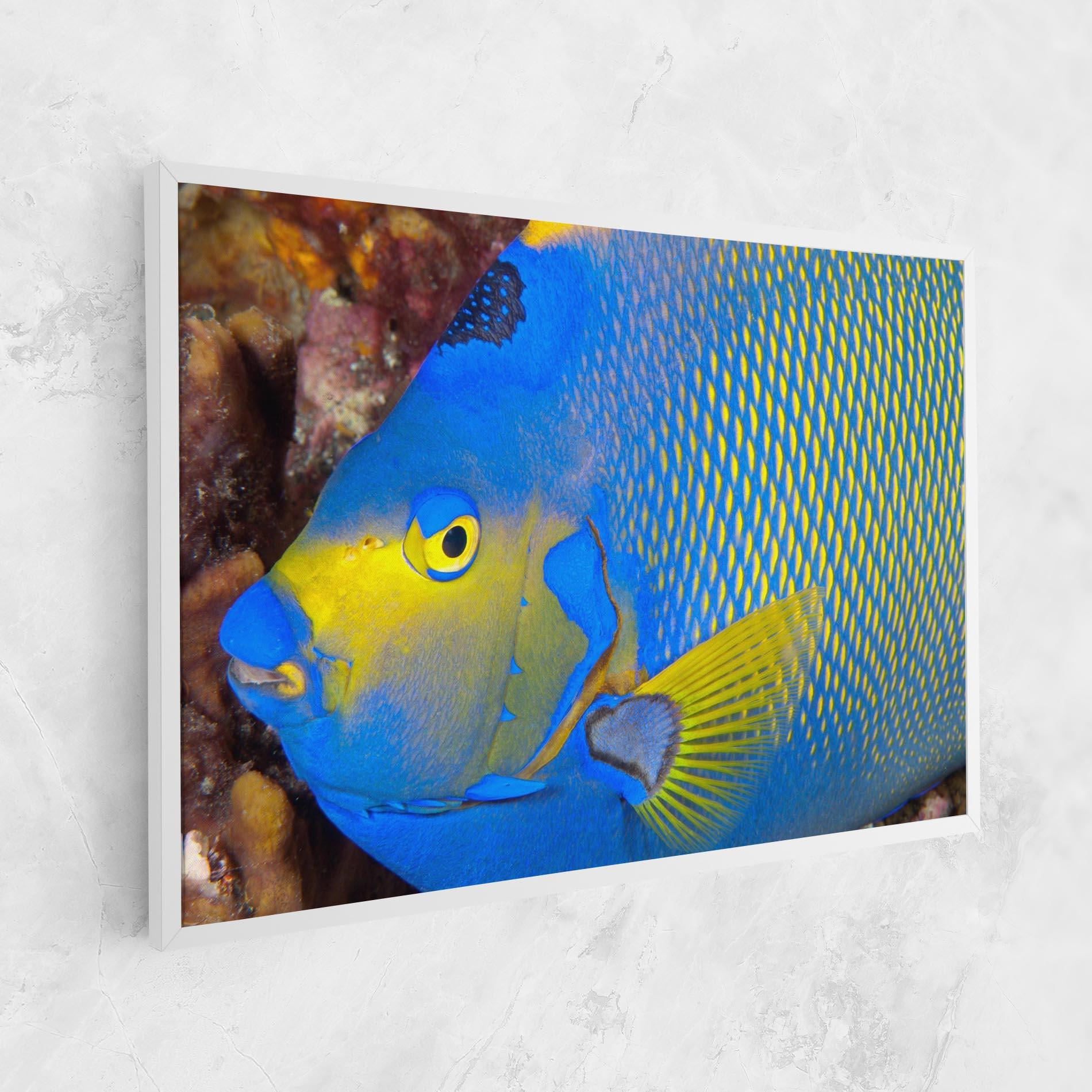Leinwandbild Blue Yellow Fish mockup 1