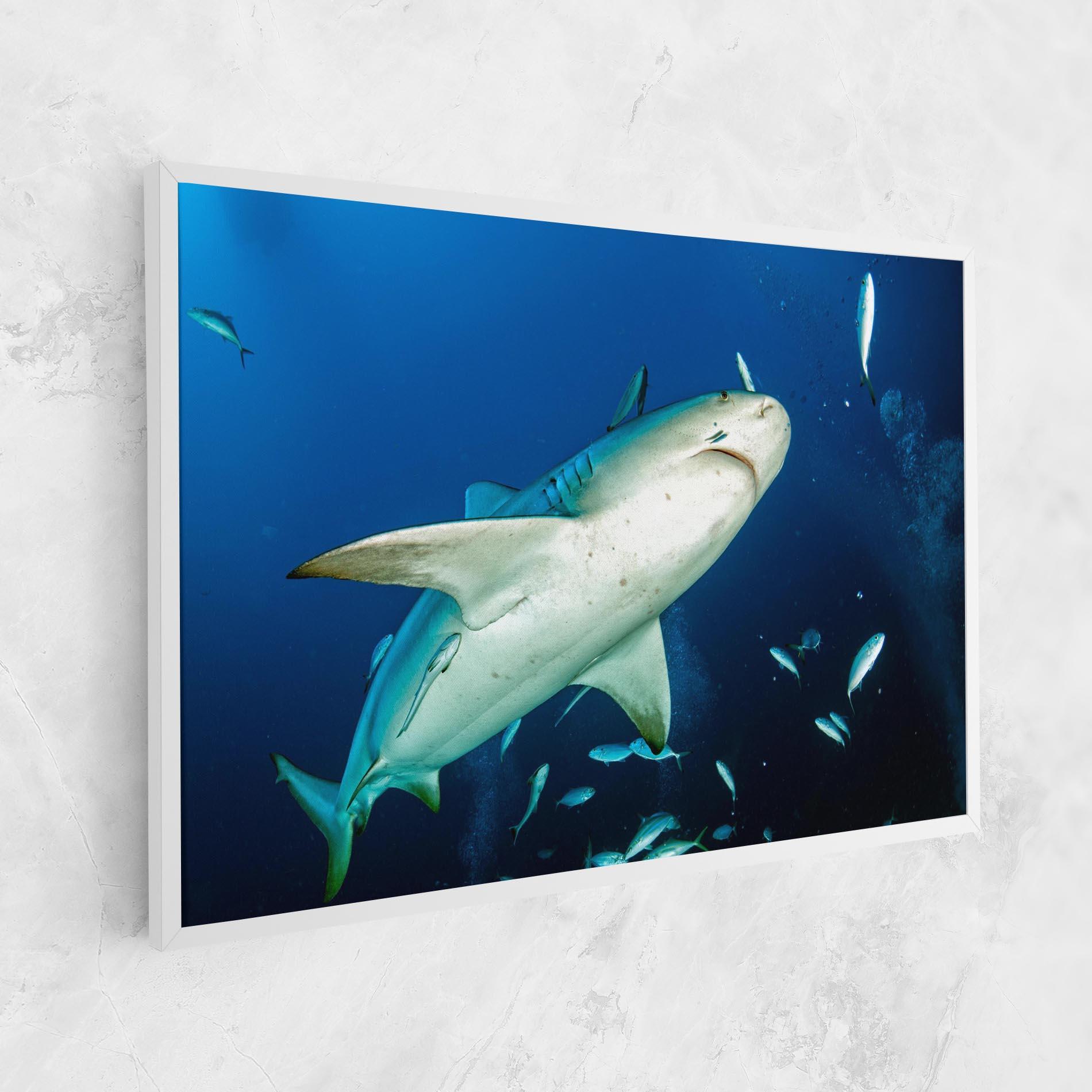 Leinwandbild Bull Shark mockup 1