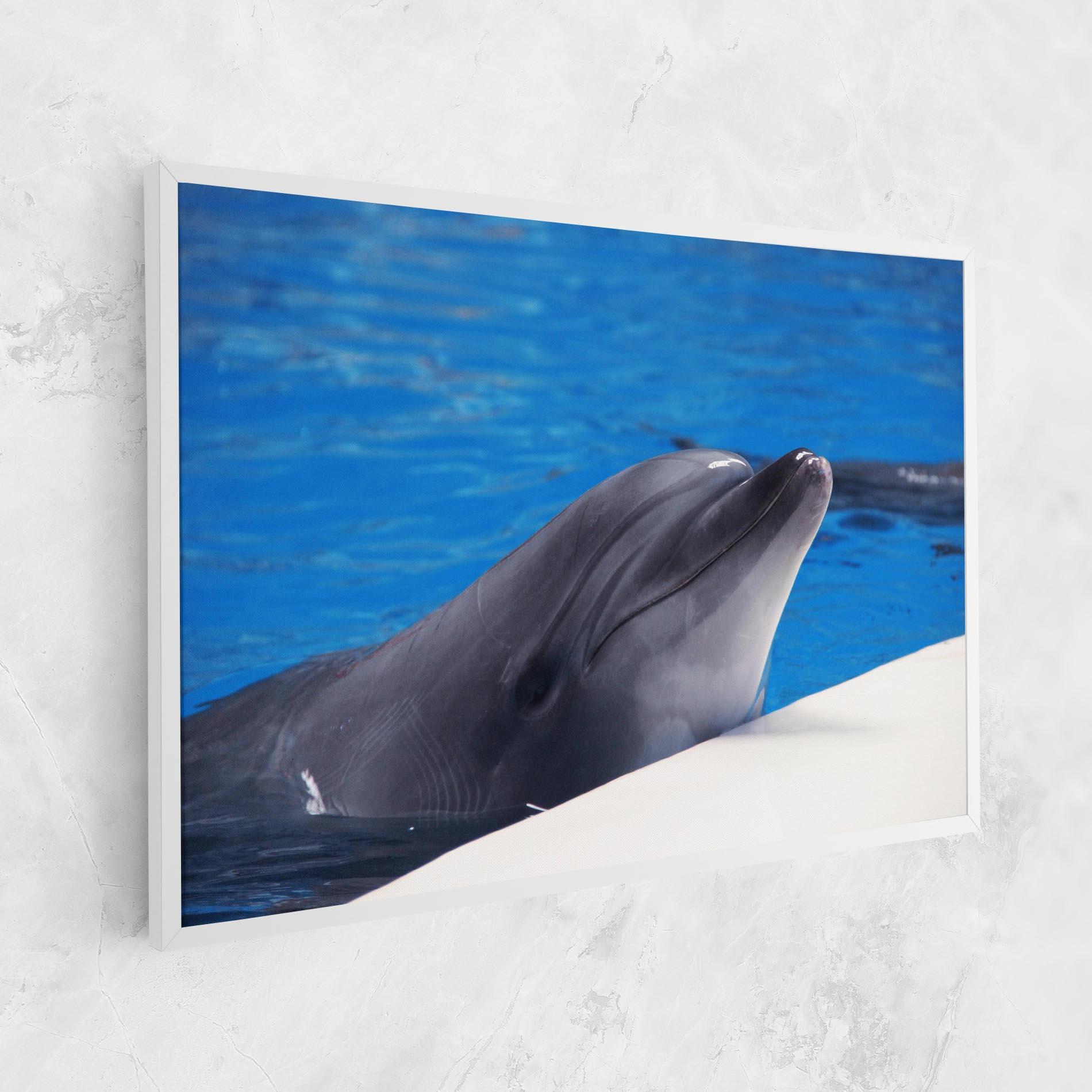 Leinwandbild Cute Dolphin mockup 1