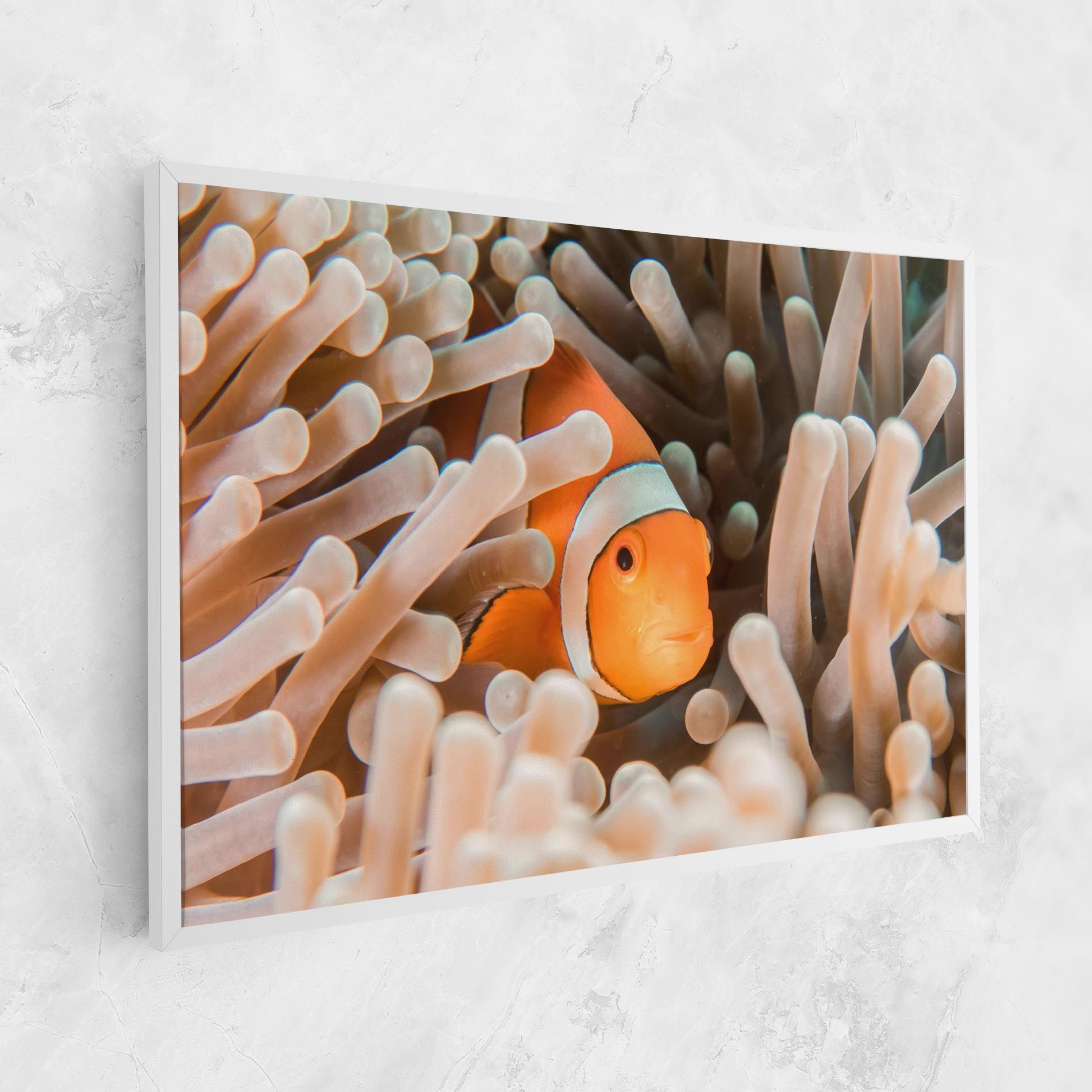 Cute Nemo mockup 1