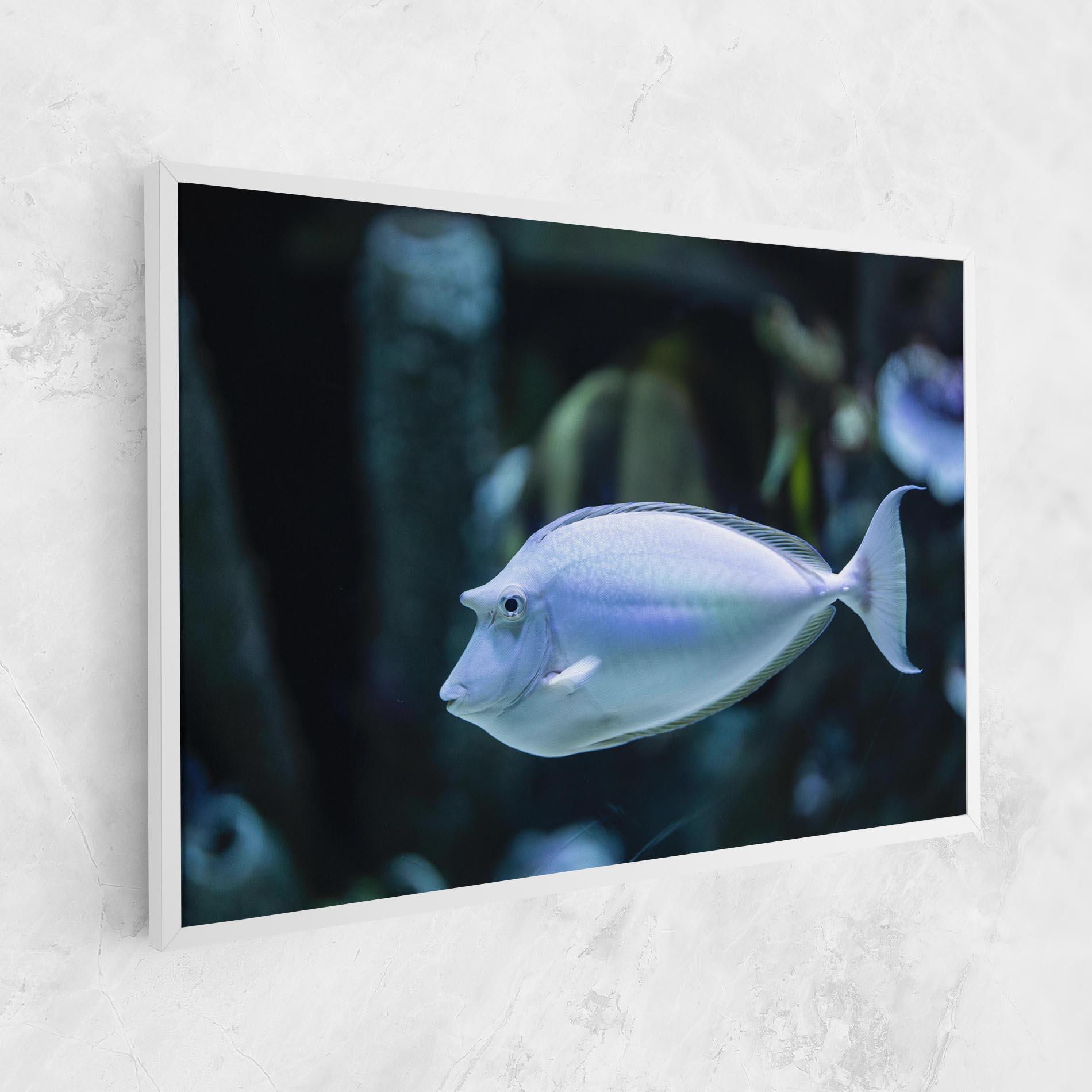 Leinwandbild Funny Face Fish mockup 1