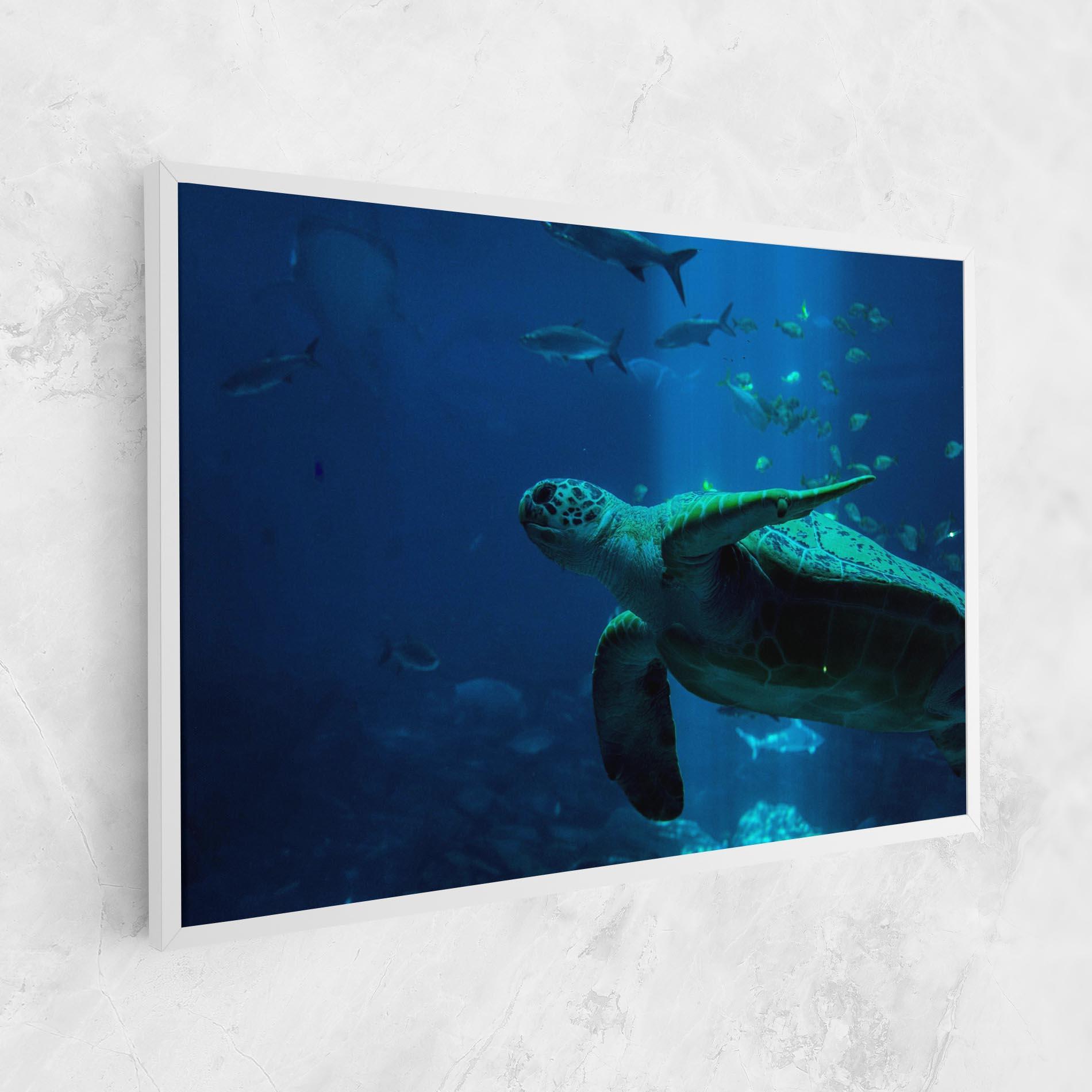 Leinwandbild Green Turtule mockup 1
