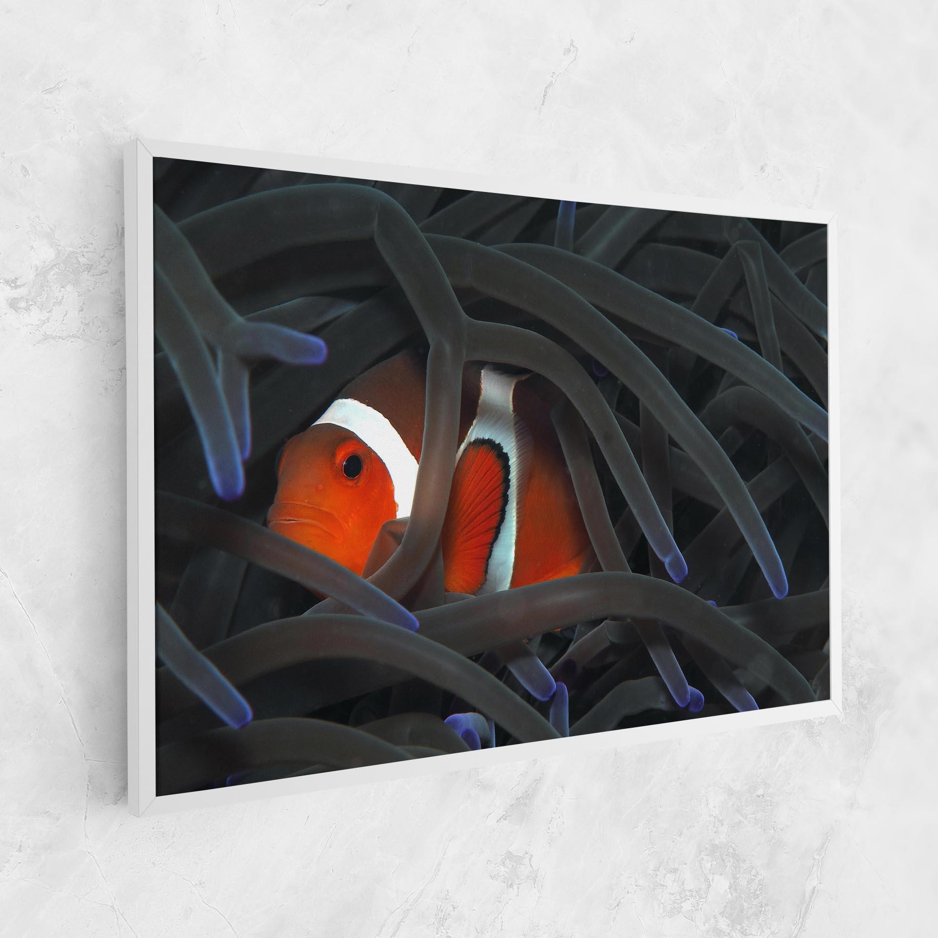 Leinwandbild Nemo Hiding mockup 1