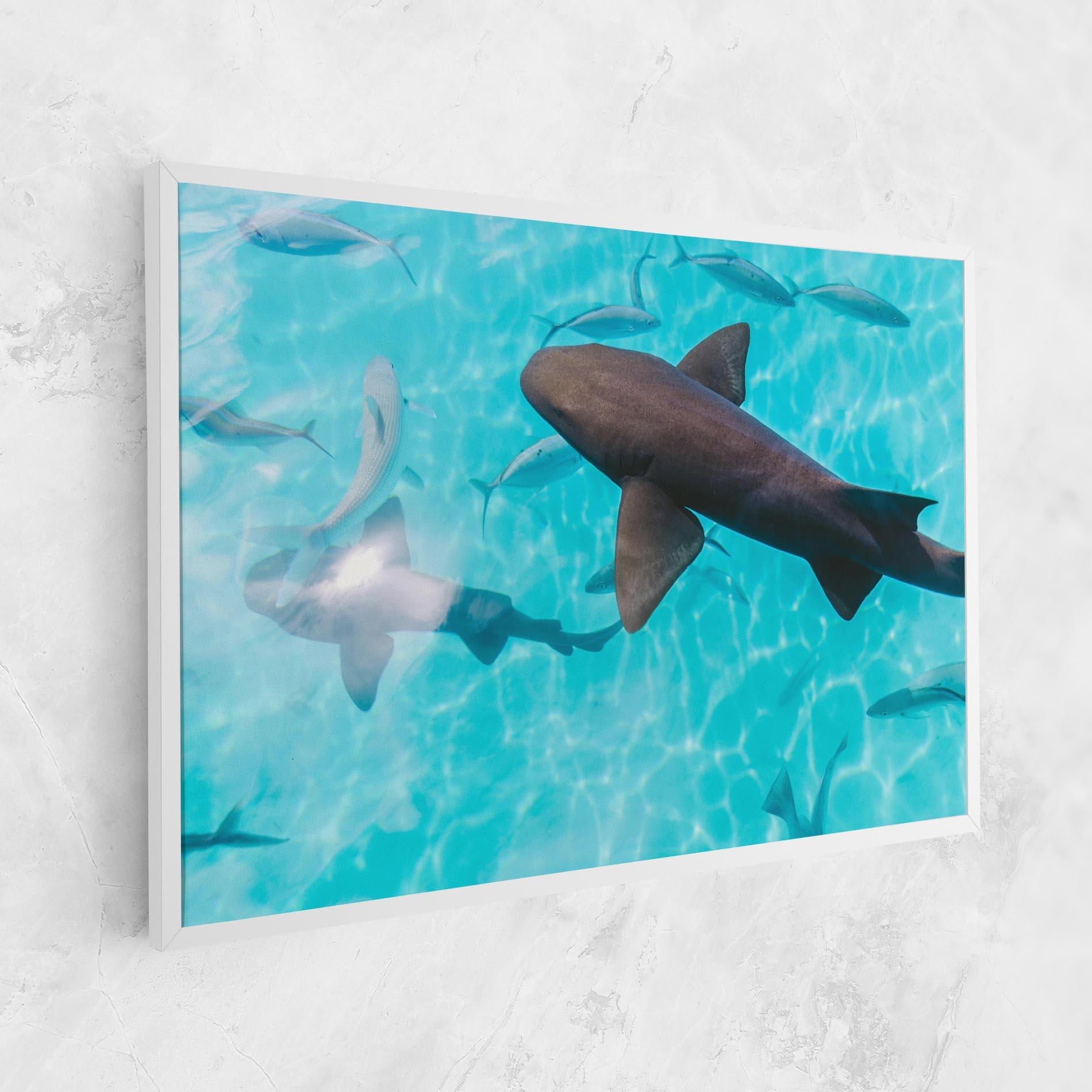 Leinwandbild Pretty Shark mockup 1