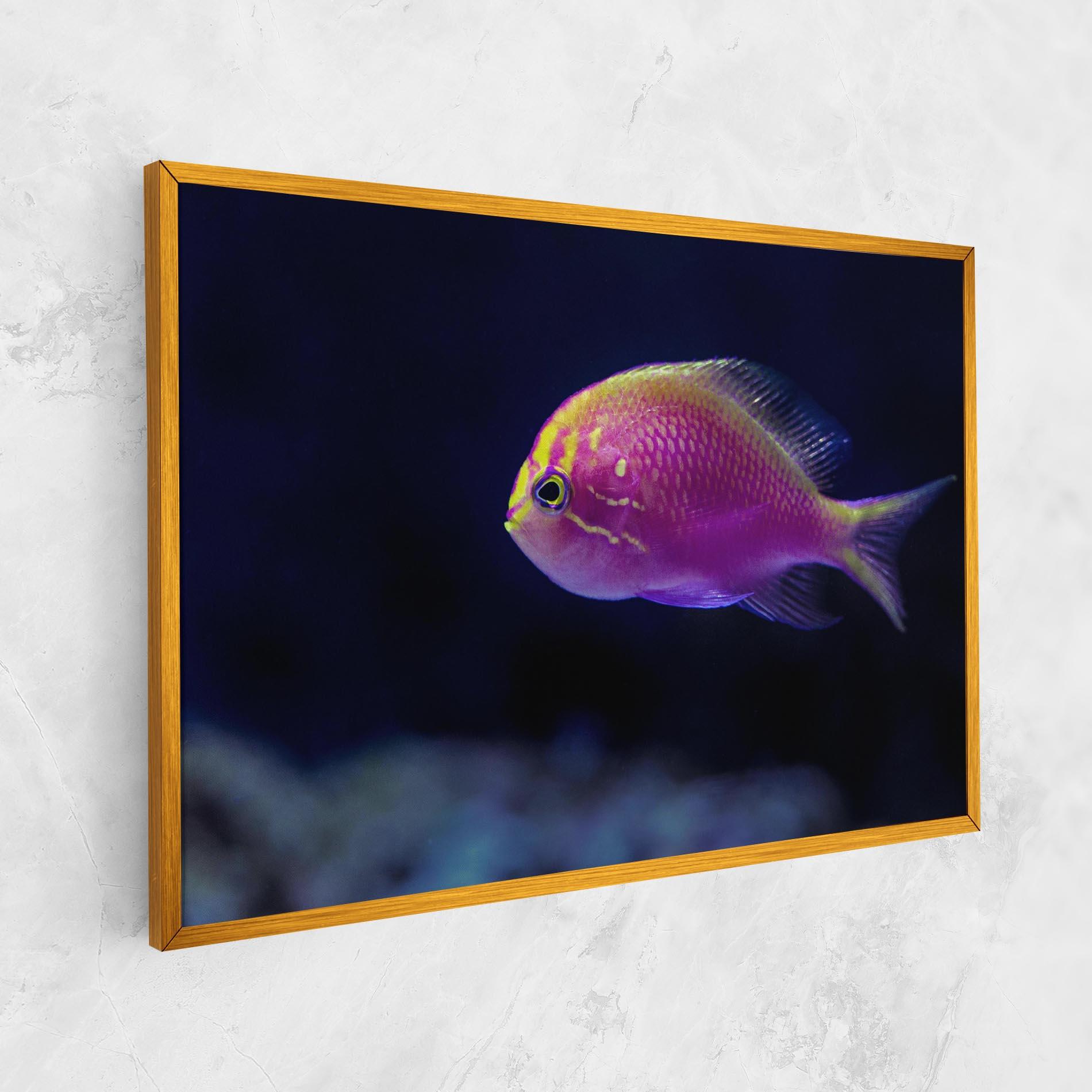 Leinwandbild Angry Pink Fish mockup 1