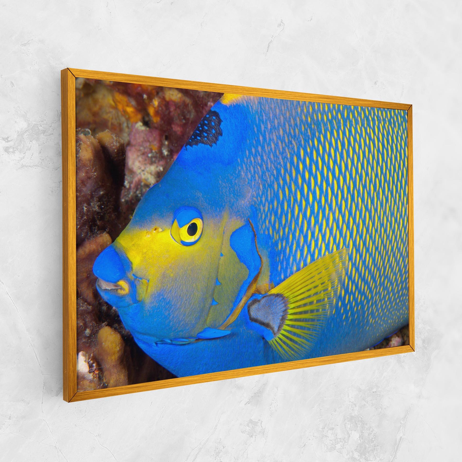Leinwandbild Blue Yellow Fish mockup 1