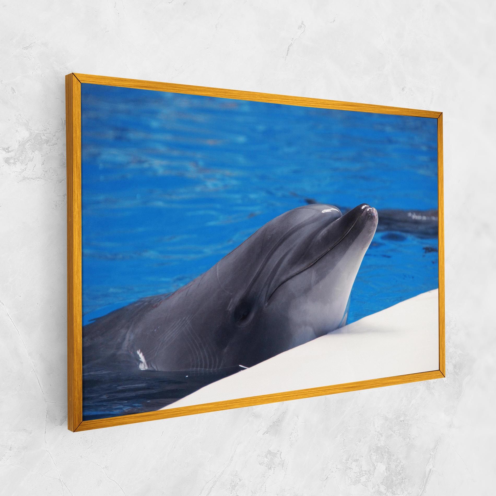 Cute Dolphin mockup 1