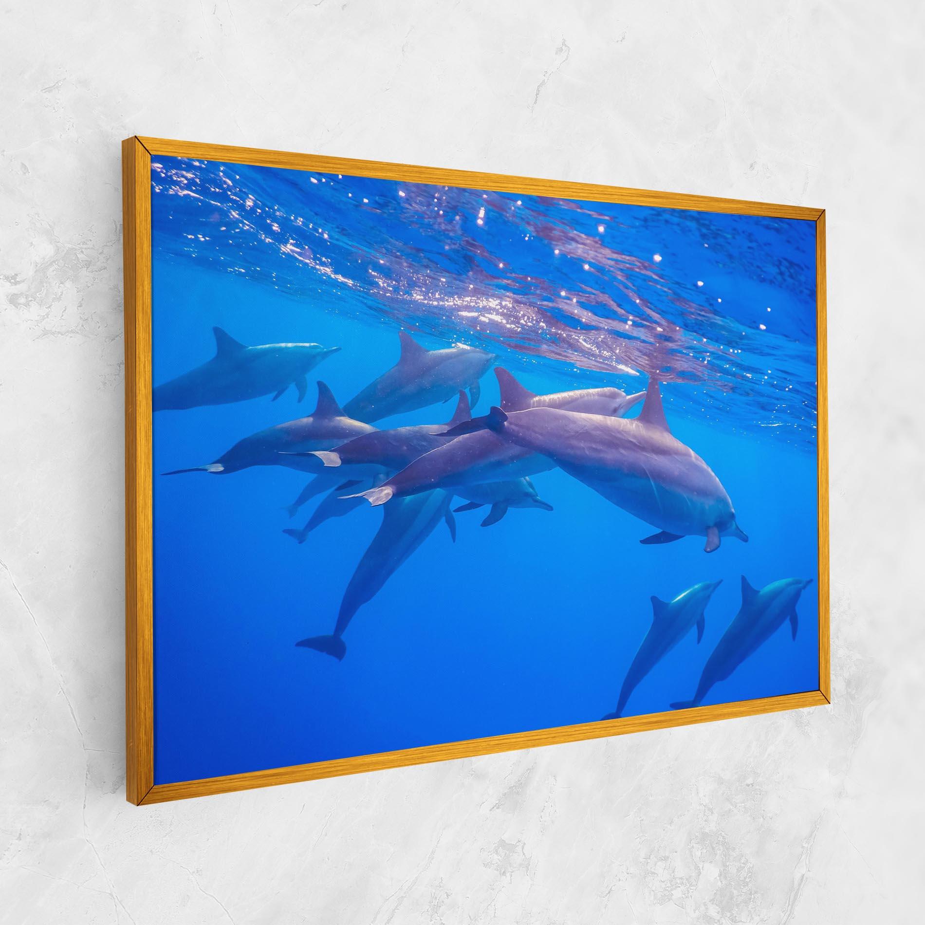 Leinwandbild Dolphin Family mockup 1