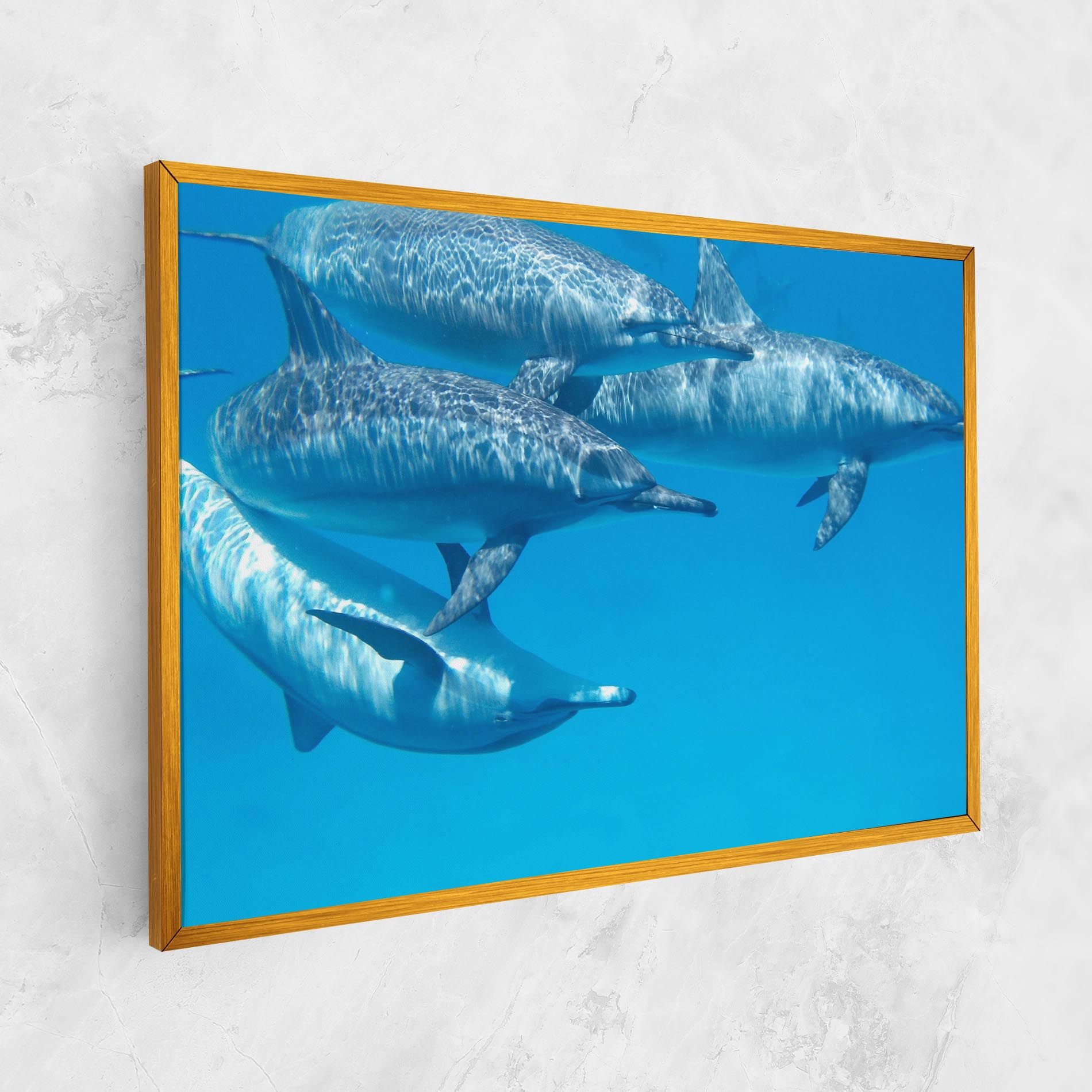 Family Of Dolphins mockup 1