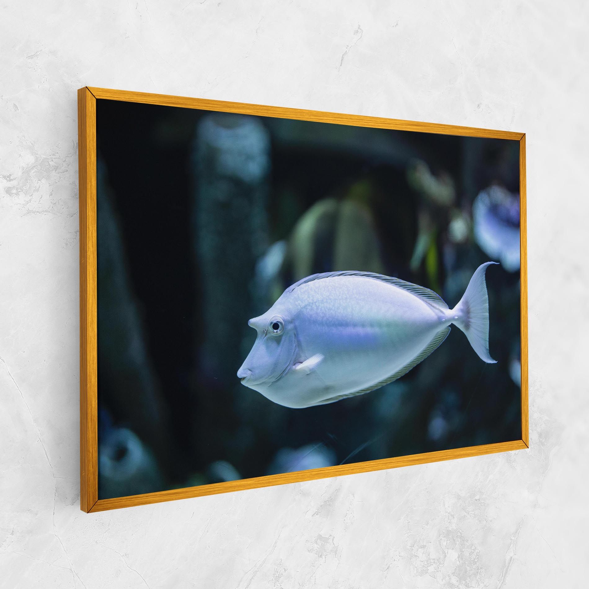 Funny Face Fish mockup 1