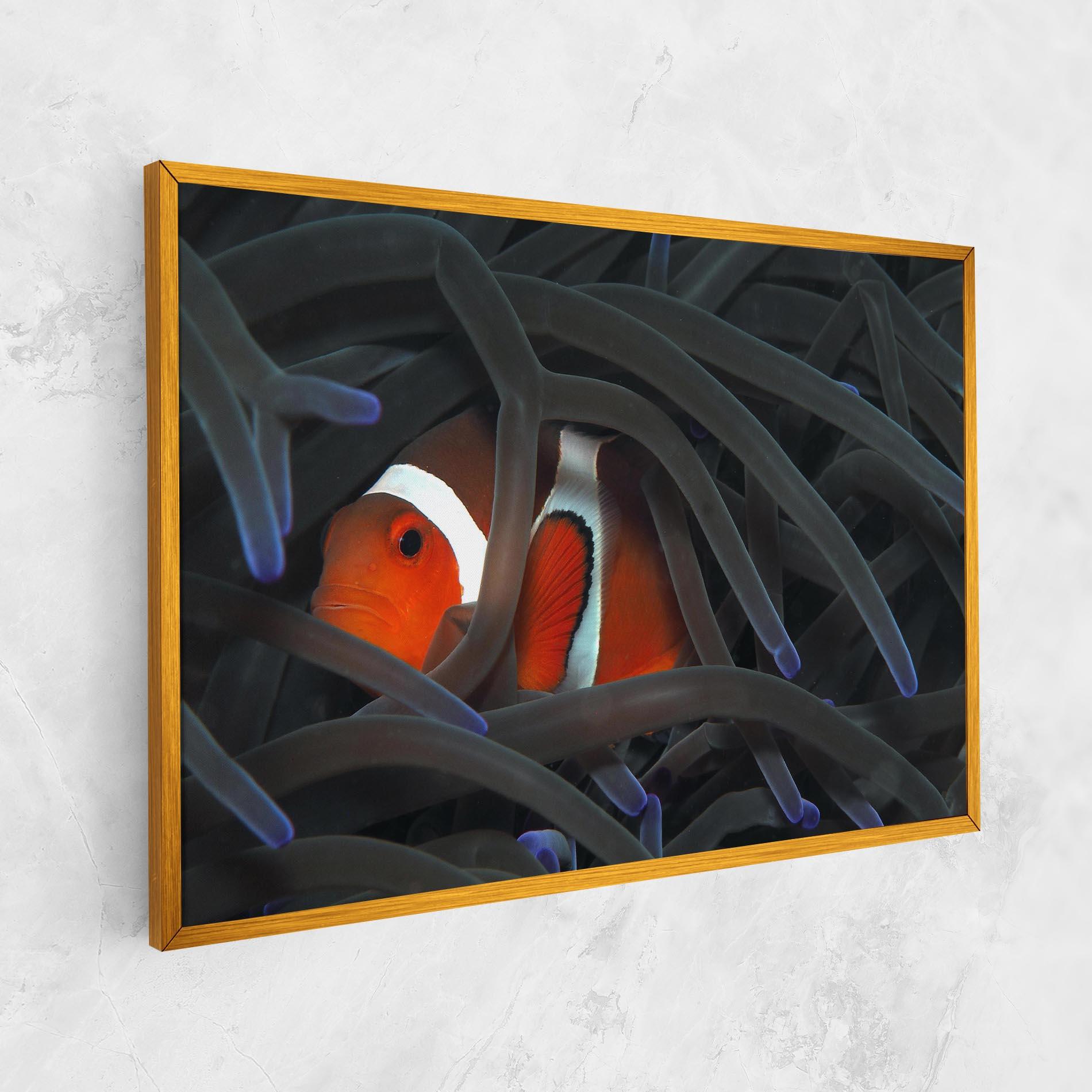 Leinwandbild Nemo Hiding mockup 1