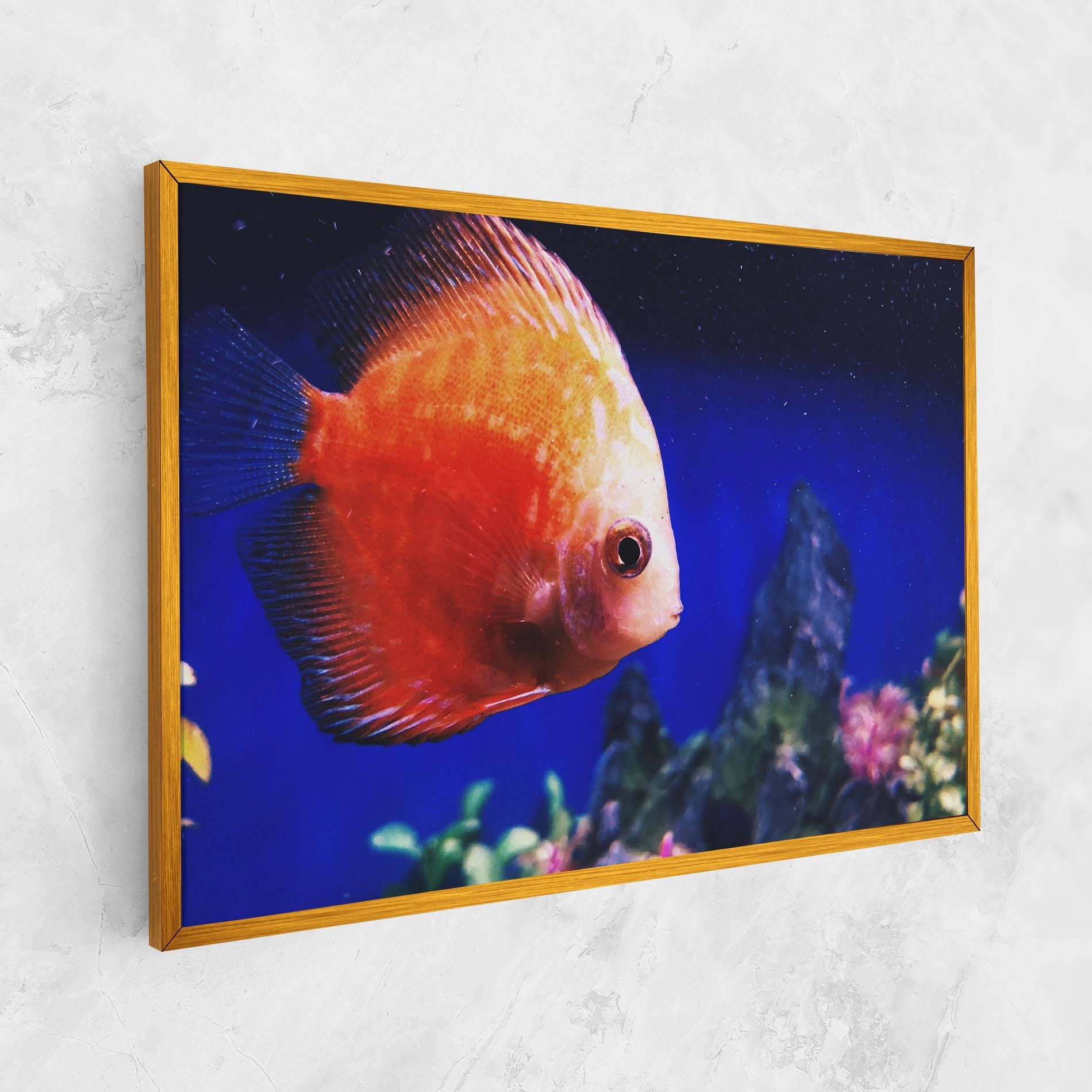 Pretty Orange Fish mockup 1