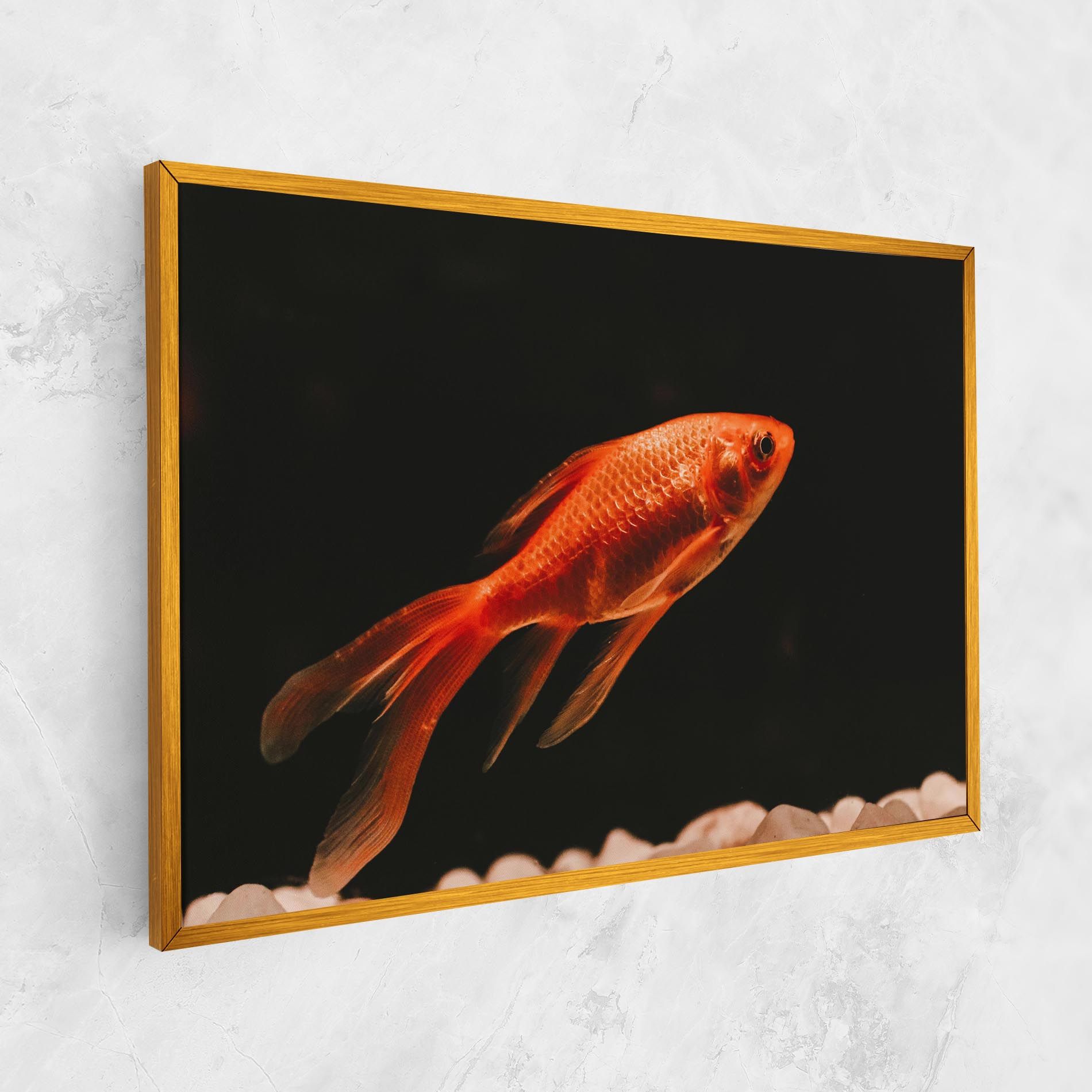 Small Orange Fish mockup 1