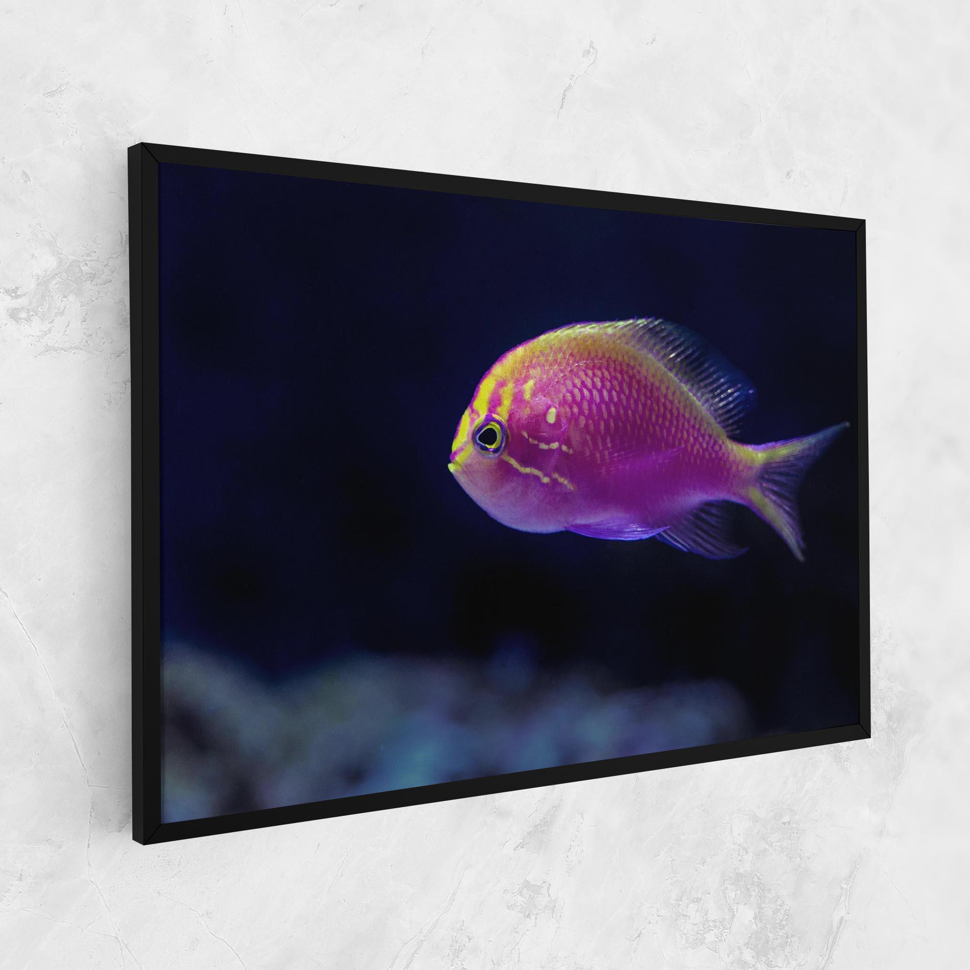 Leinwandbild Angry Pink Fish mockup 1