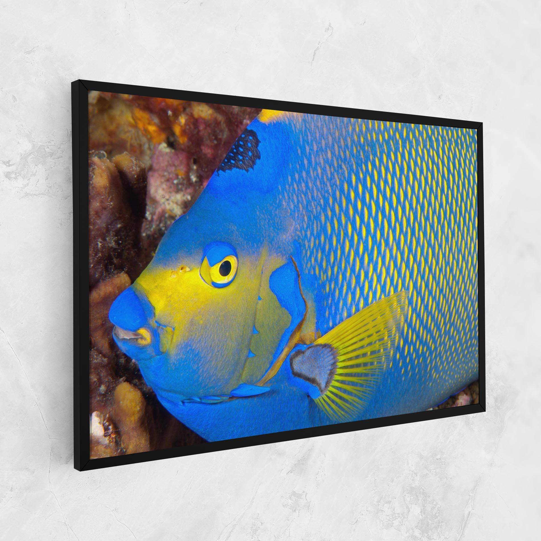 Leinwandbild Blue Yellow Fish mockup 1