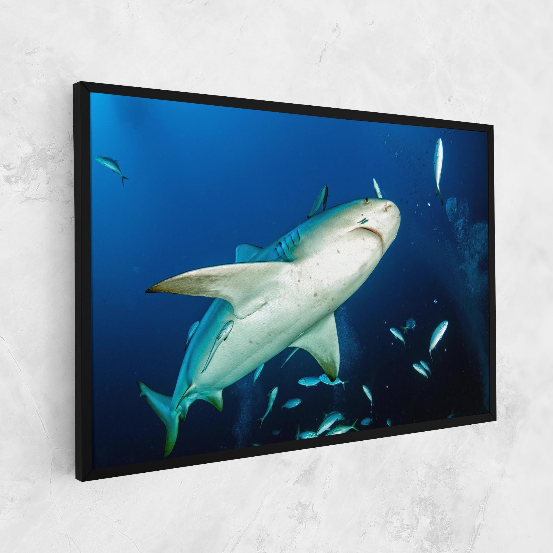 Leinwandbild Bull Shark mockup 1