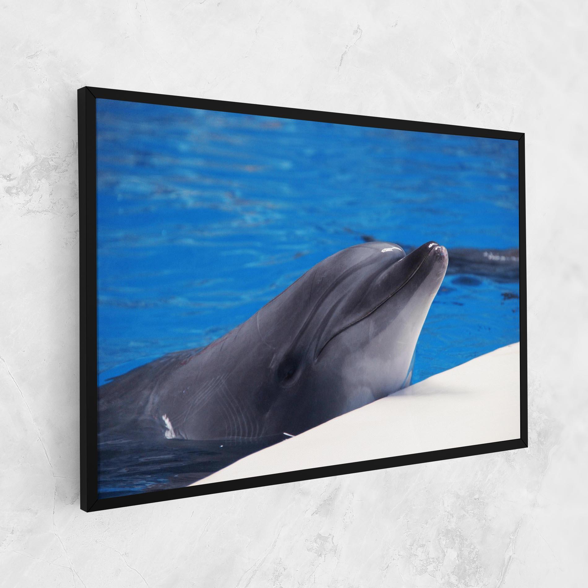 Leinwandbild Cute Dolphin mockup 1