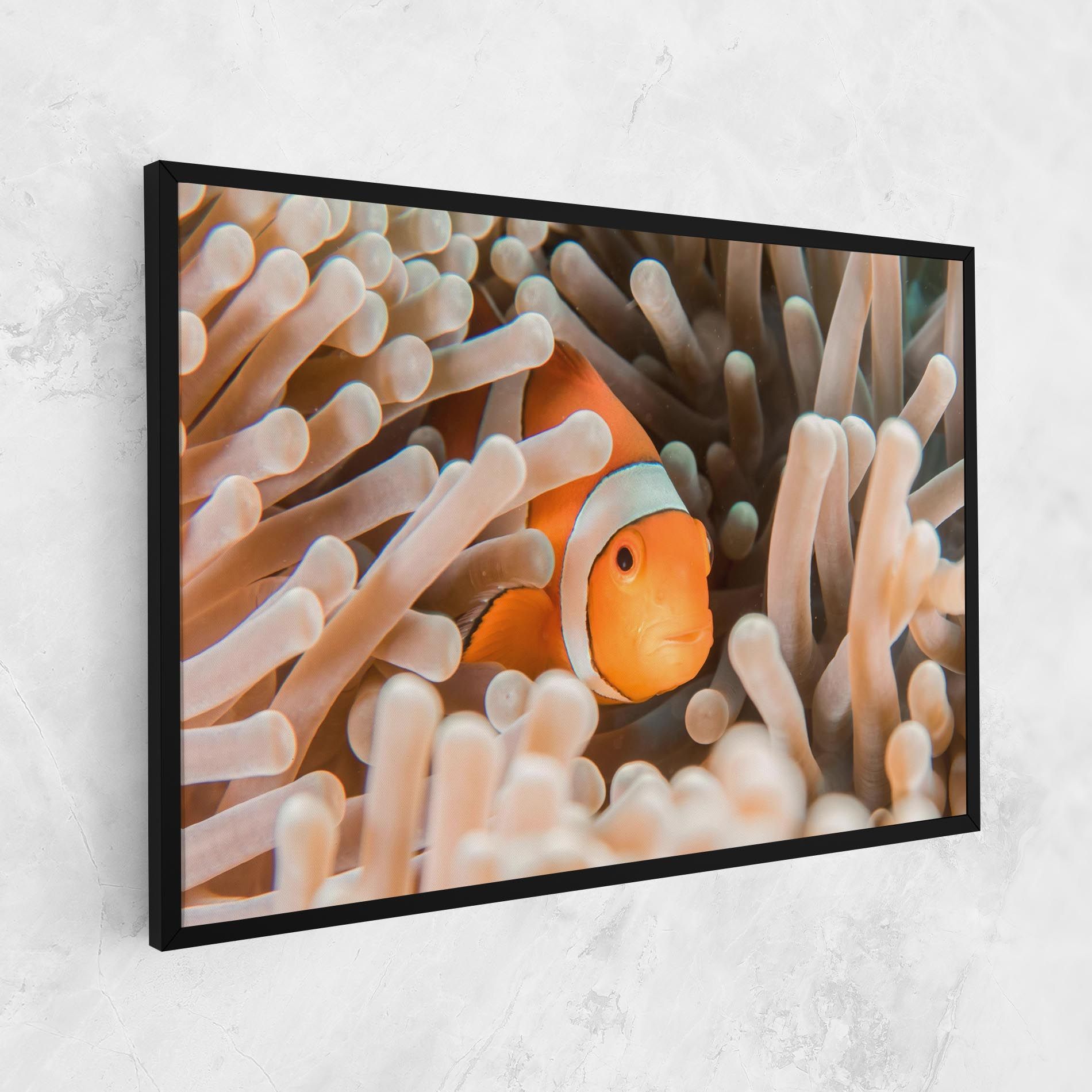 Cute Nemo mockup 1