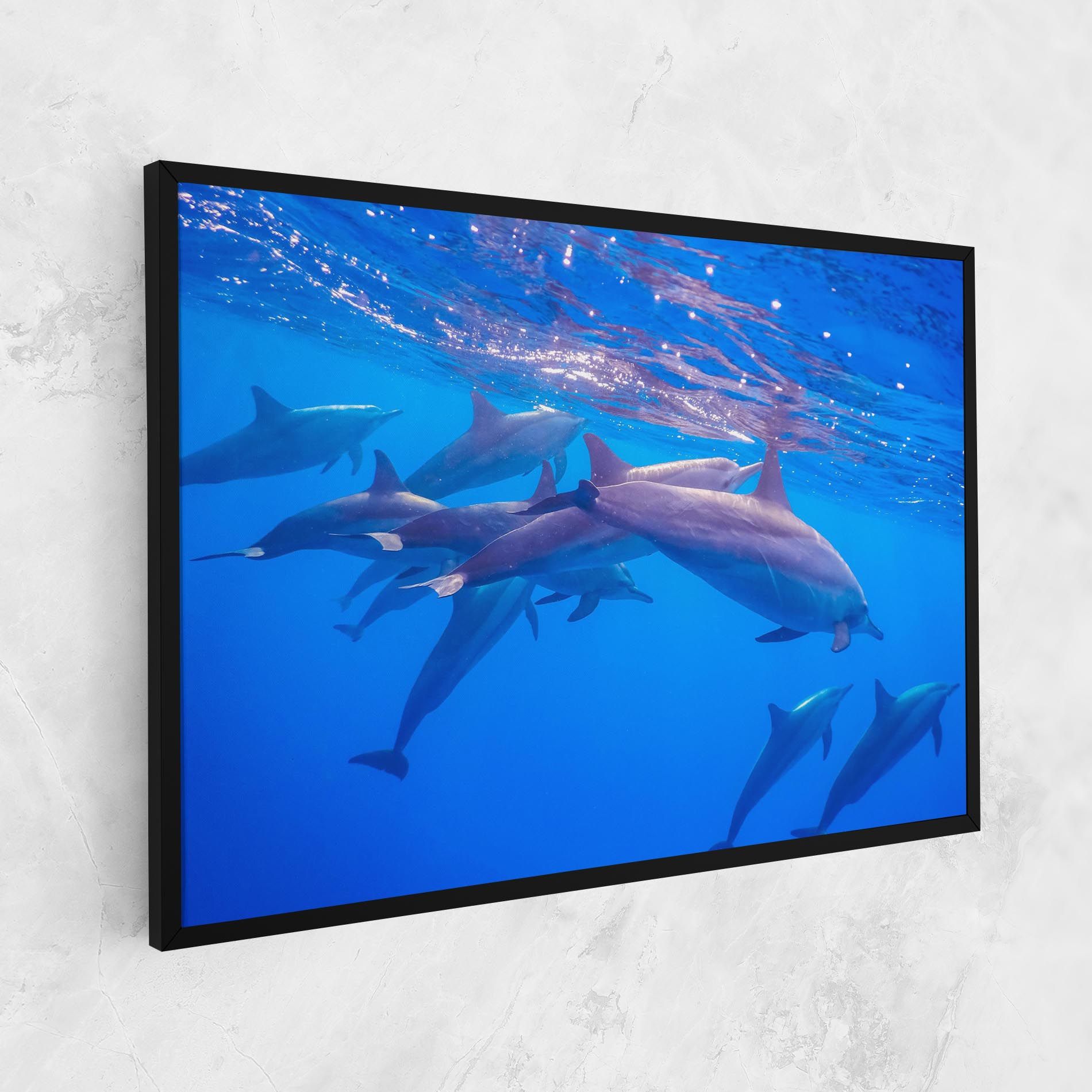 Dolphin Family mockup 1